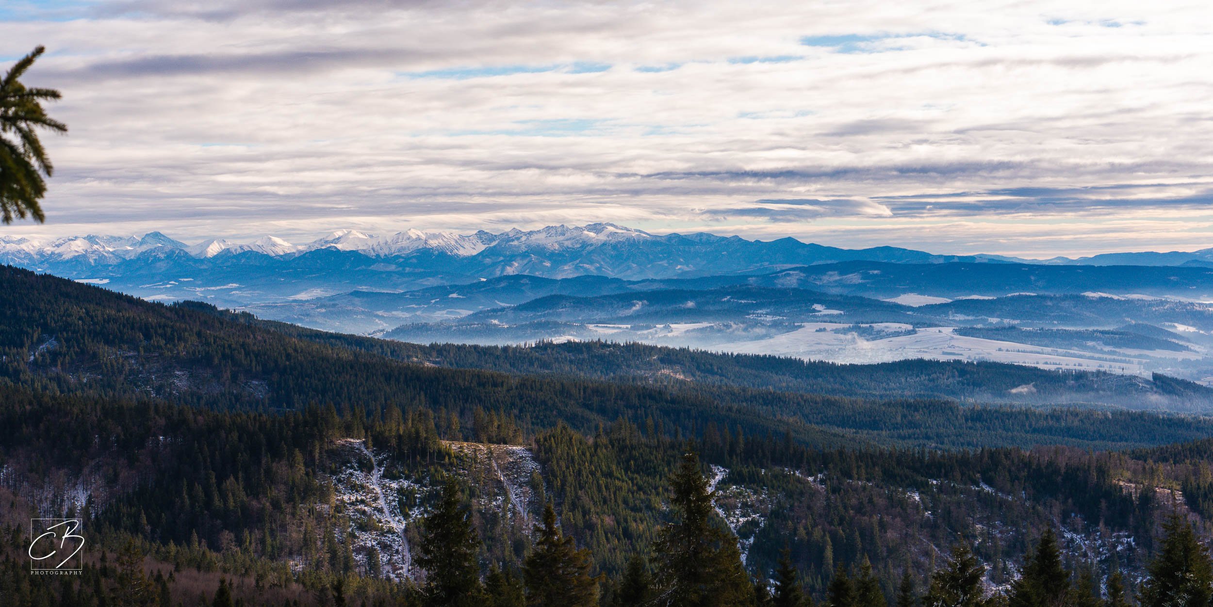 _DSC2622-Website Export.jpg