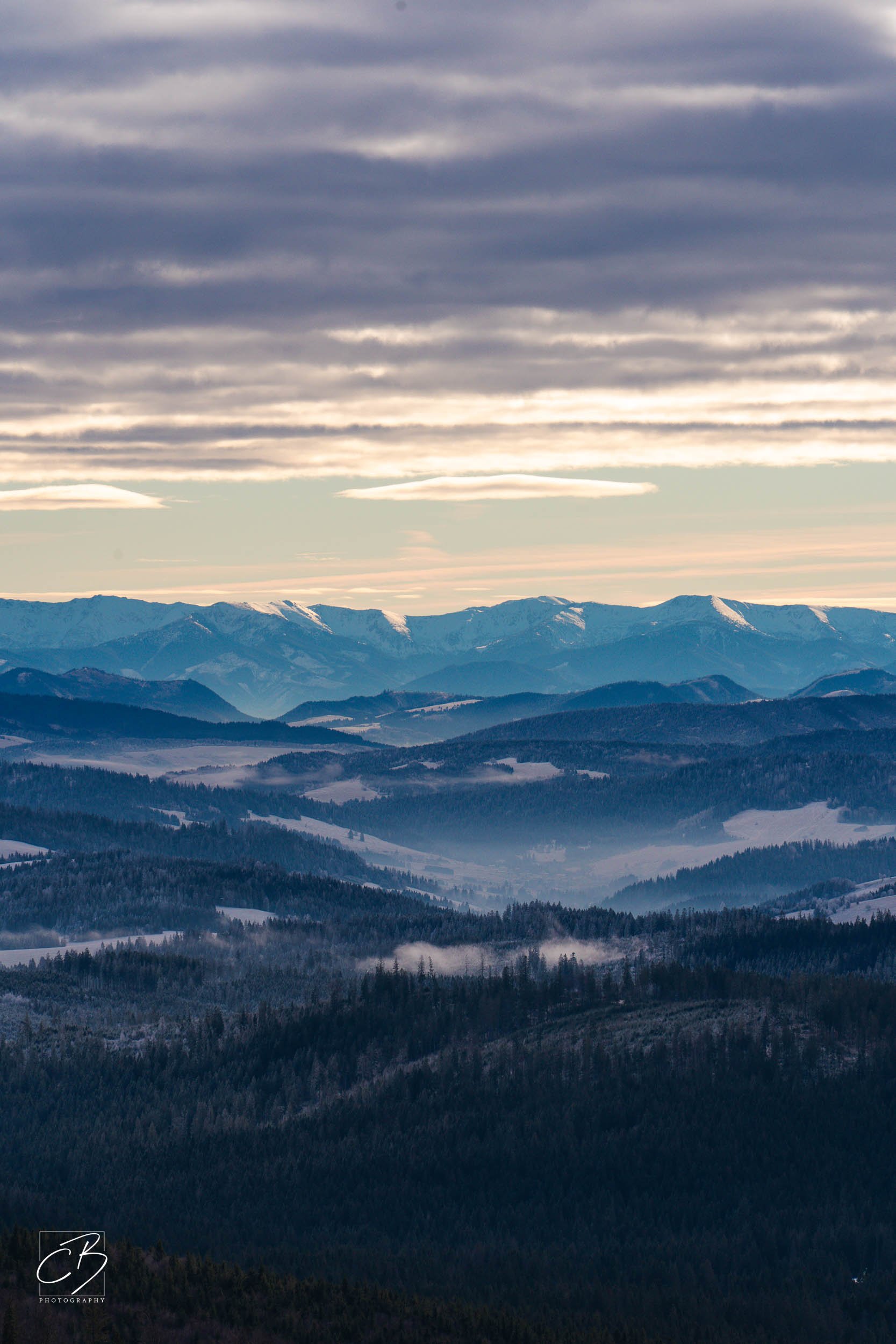 _DSC2597-Website Export.jpg