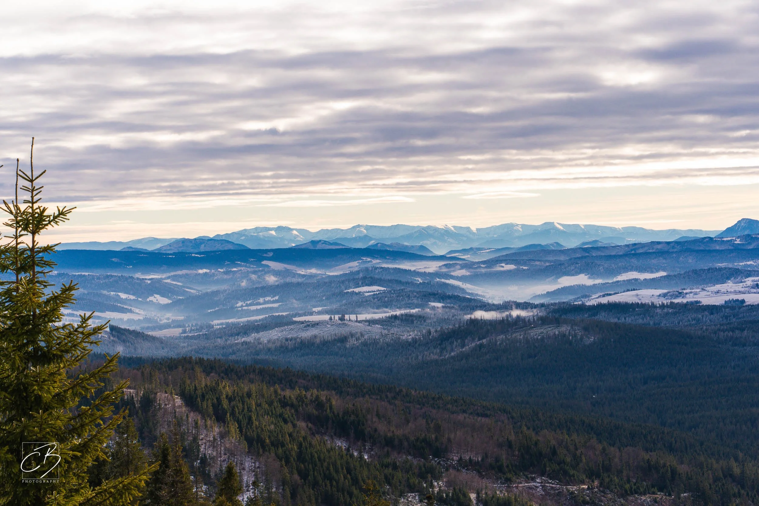 _DSC2600-Website Export.jpg