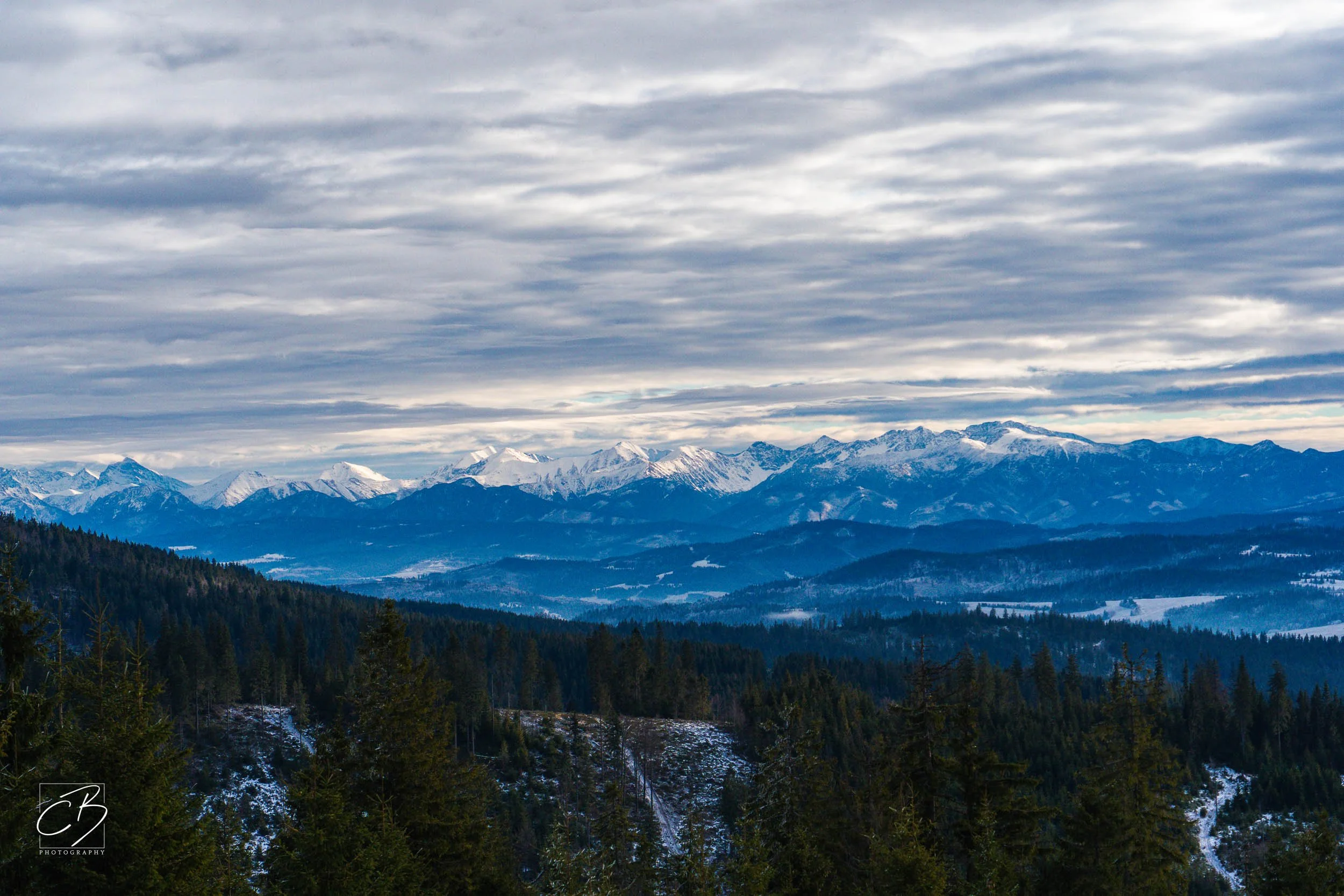 _DSC2581-Website Export.jpg