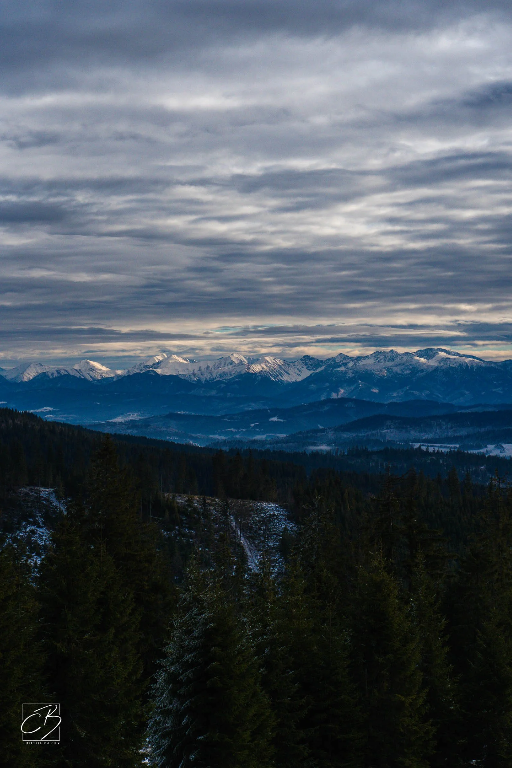 _DSC2583-Website Export.jpg