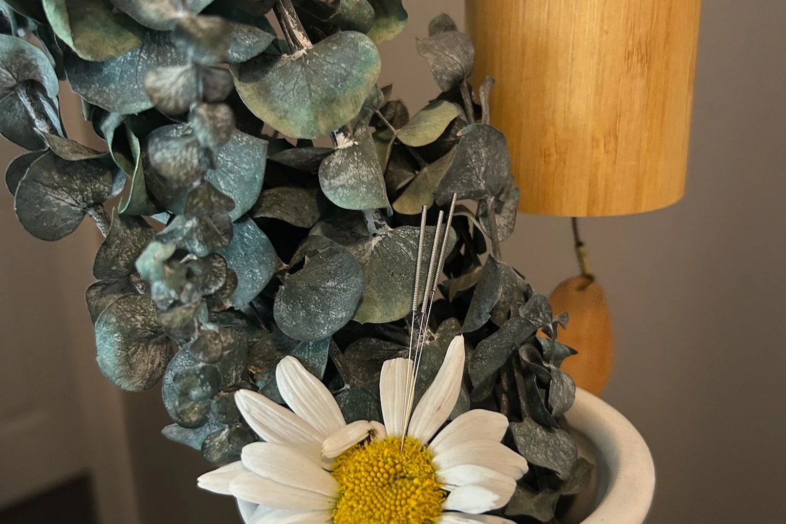 Summer Solstice Sound Bath With Acupuncture