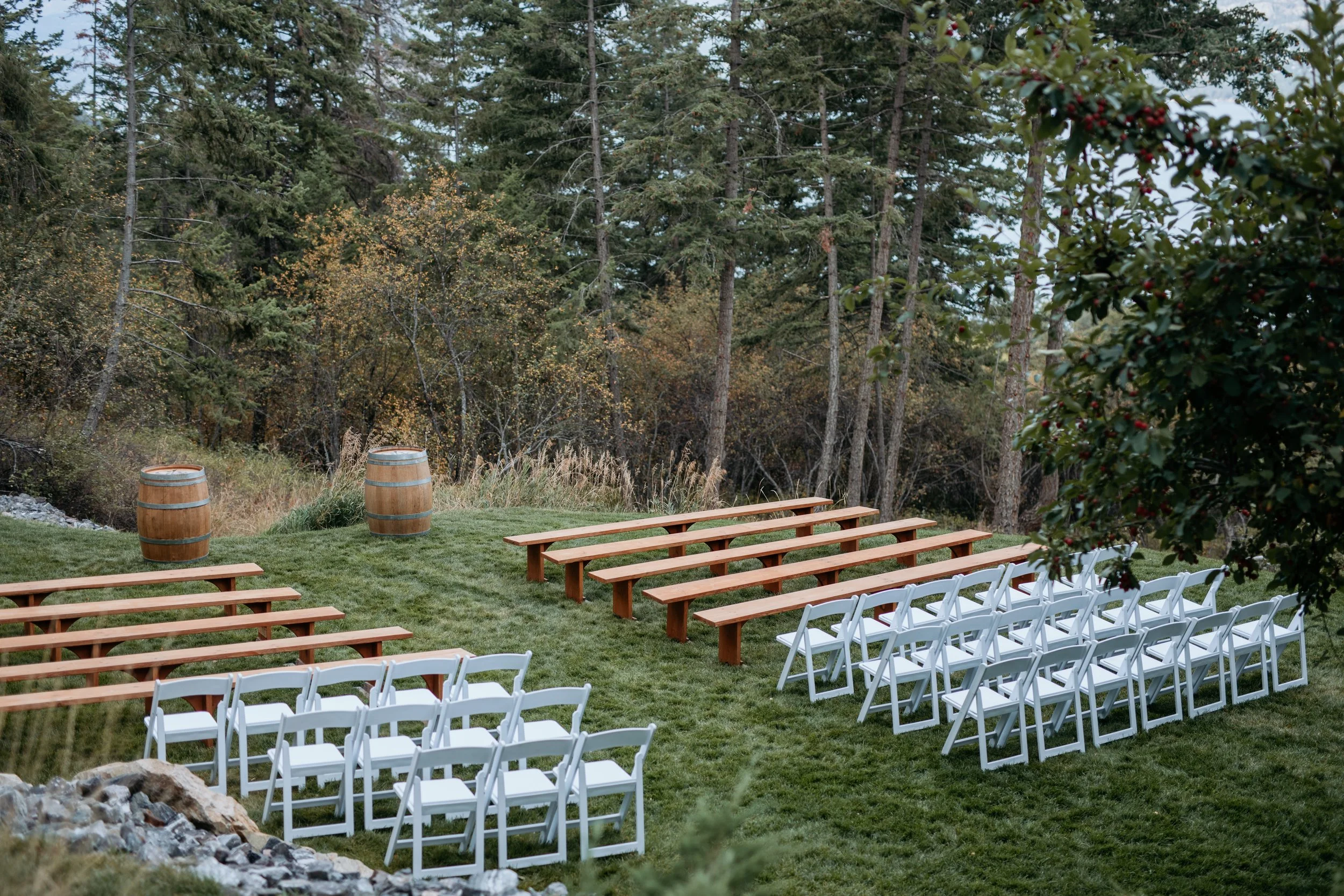 Upper Lawn - Forest Backdrop