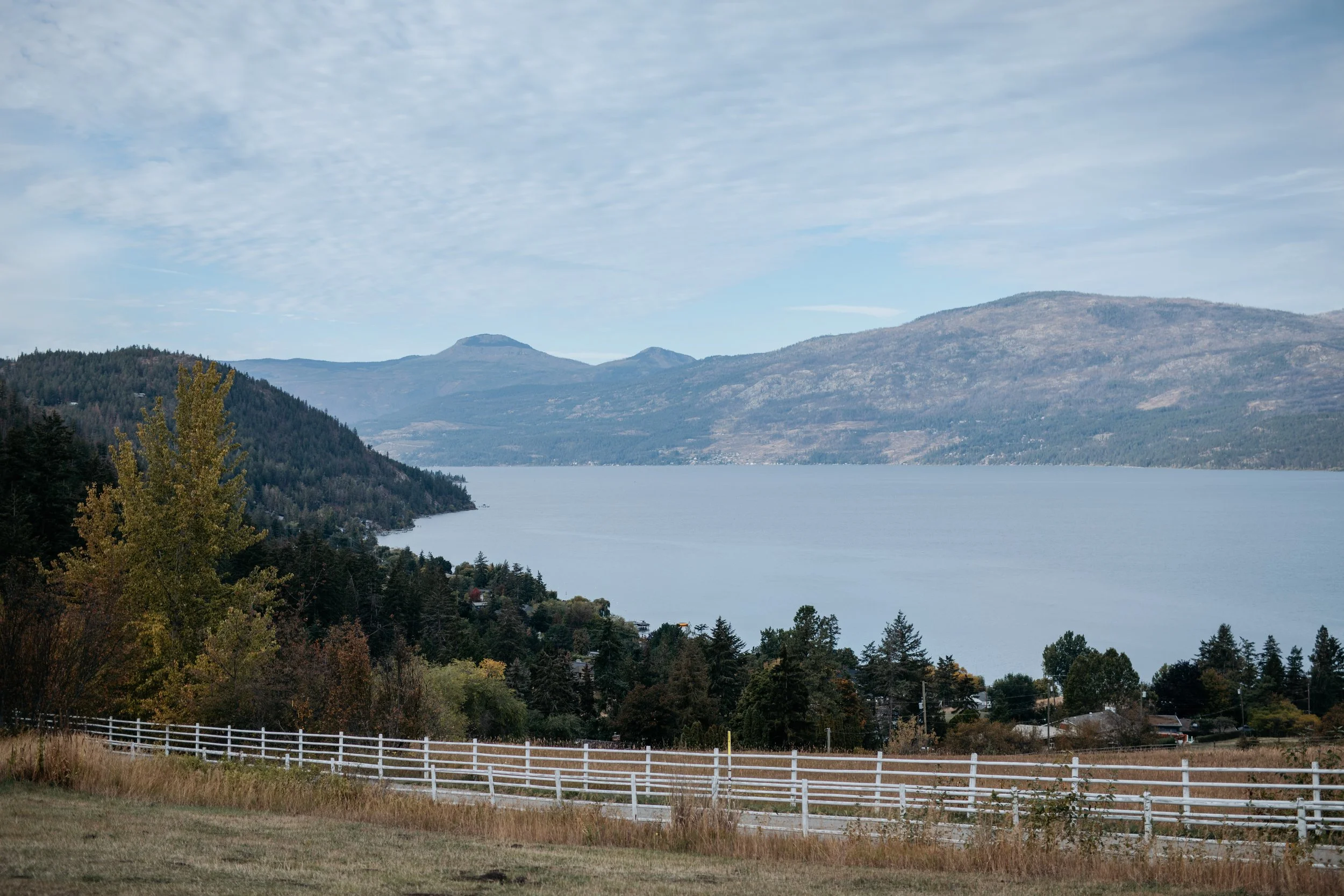 Property Lakeview