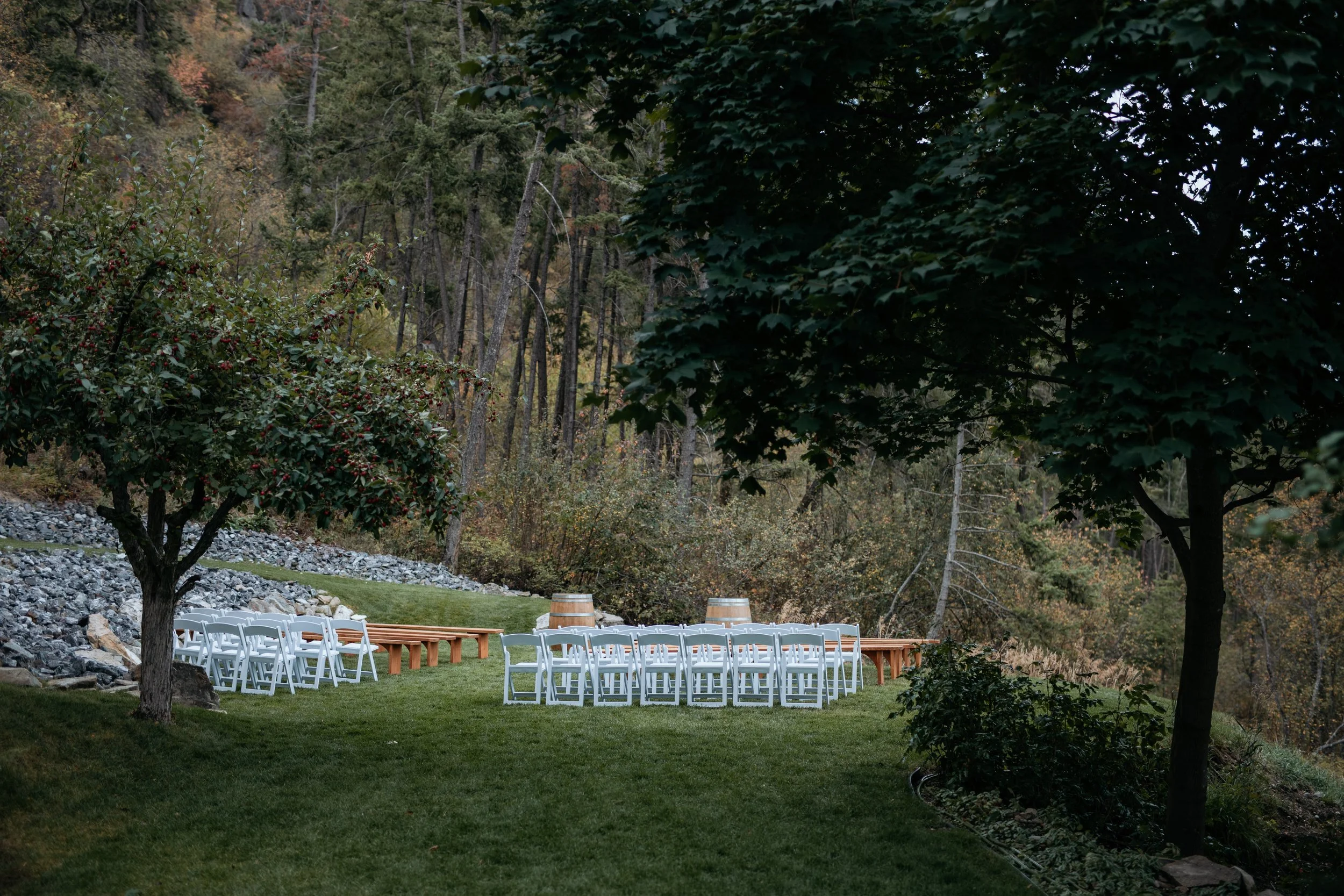 Upper Lawn - Forest Backdrop