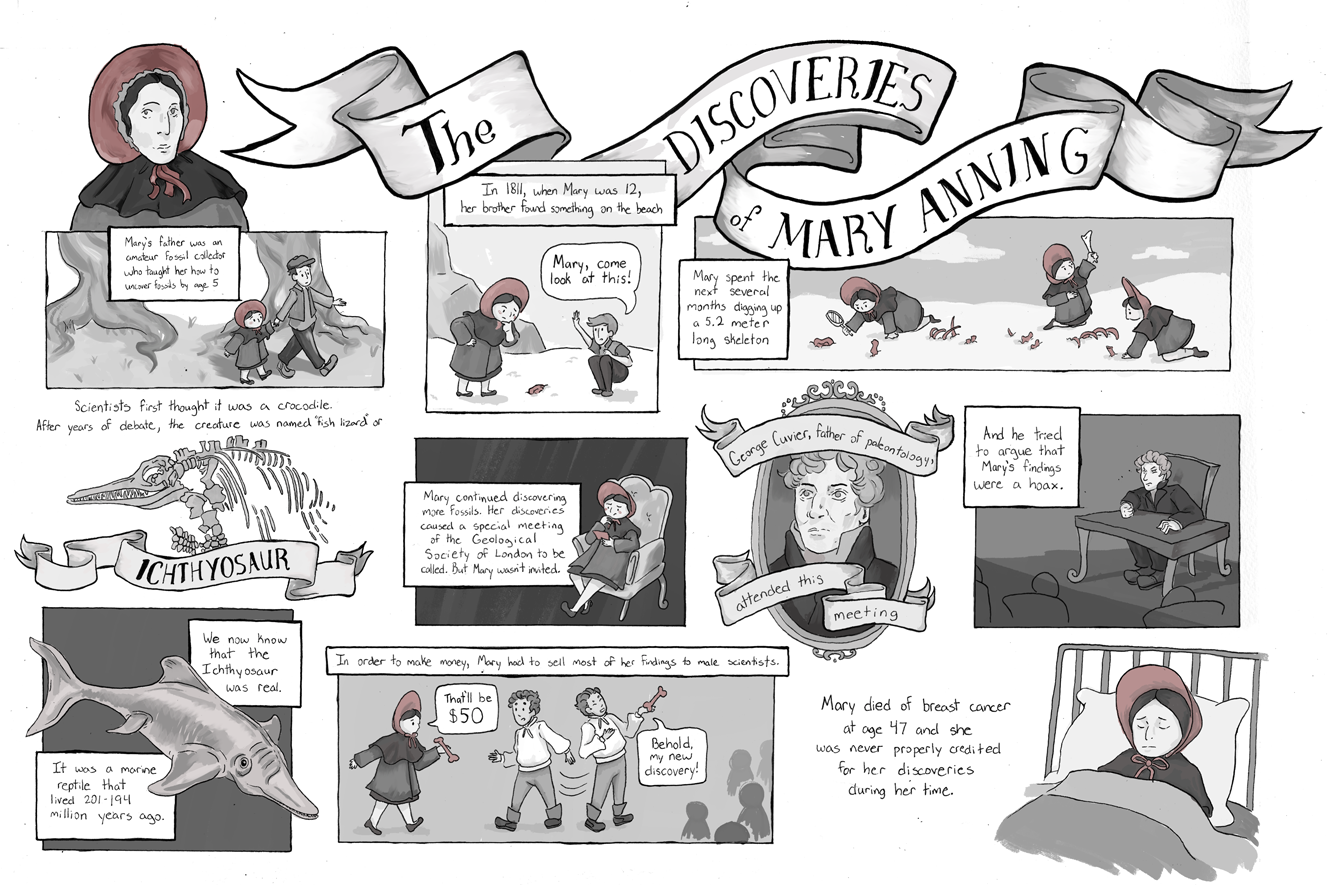 The Discoveries of Mary Anning.png