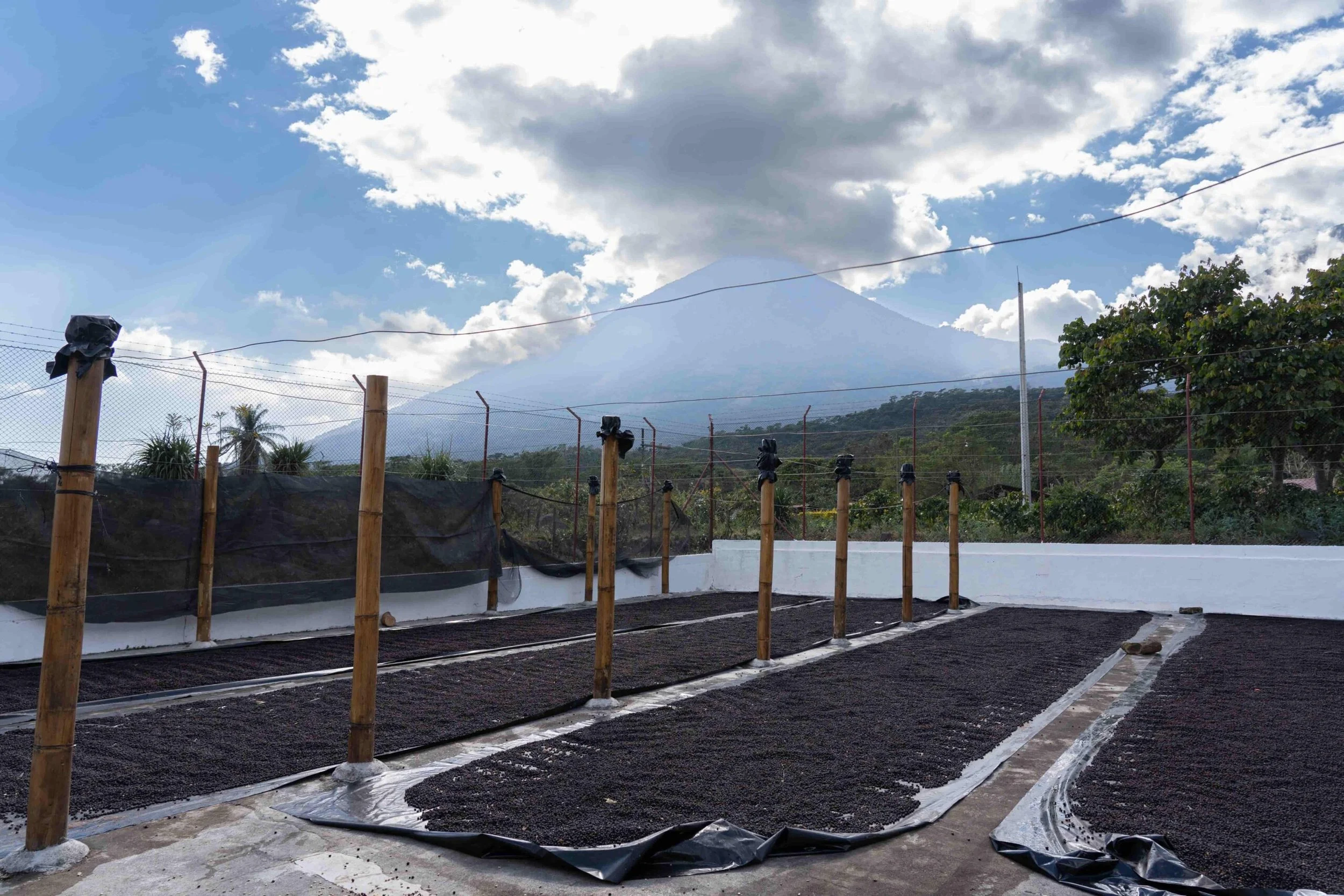 Vistas-desde-la-finca-Pampojila-en-Guatemala-scaled.jpg (copia)