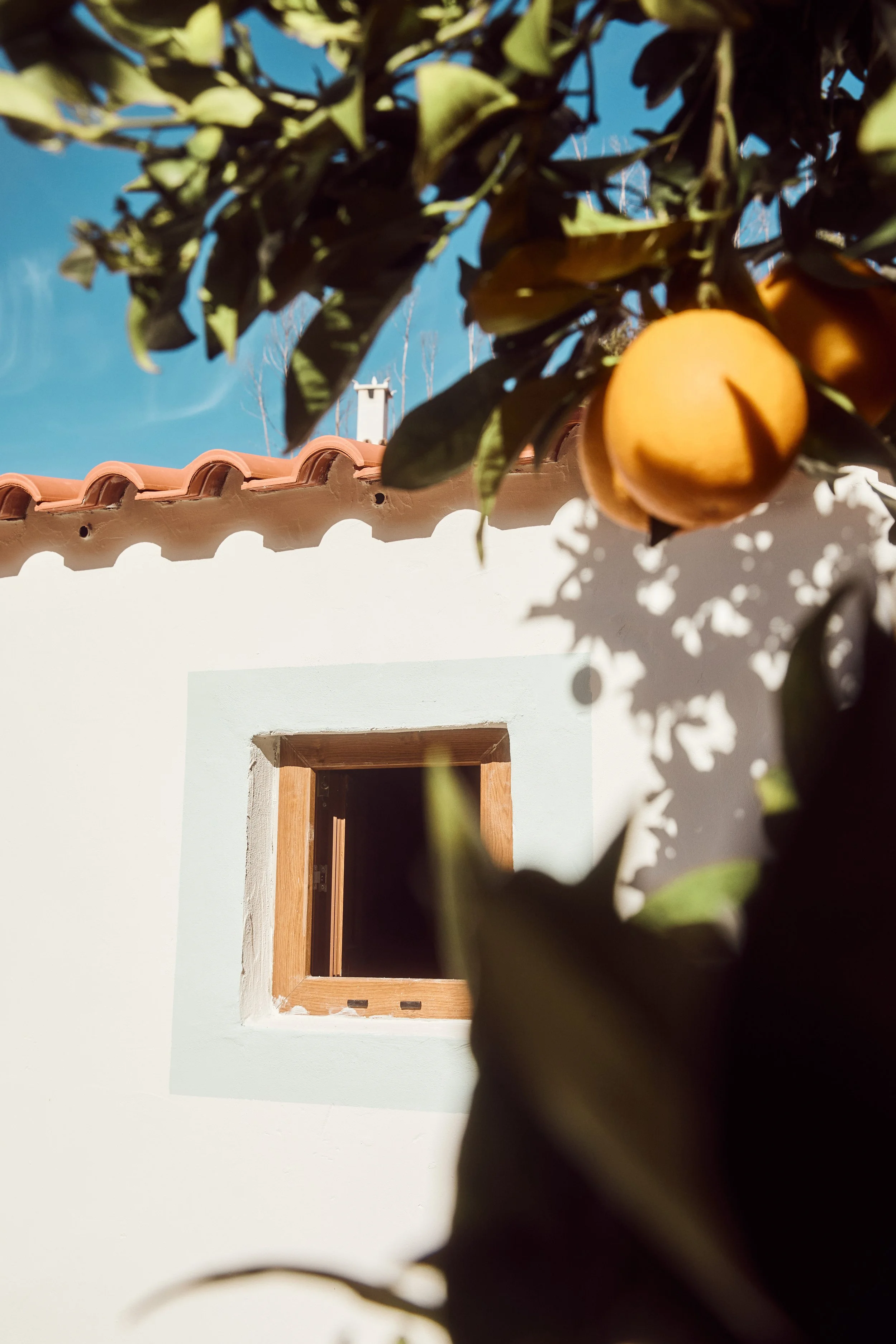 BH4A8602_v1_lowres copy.jpg