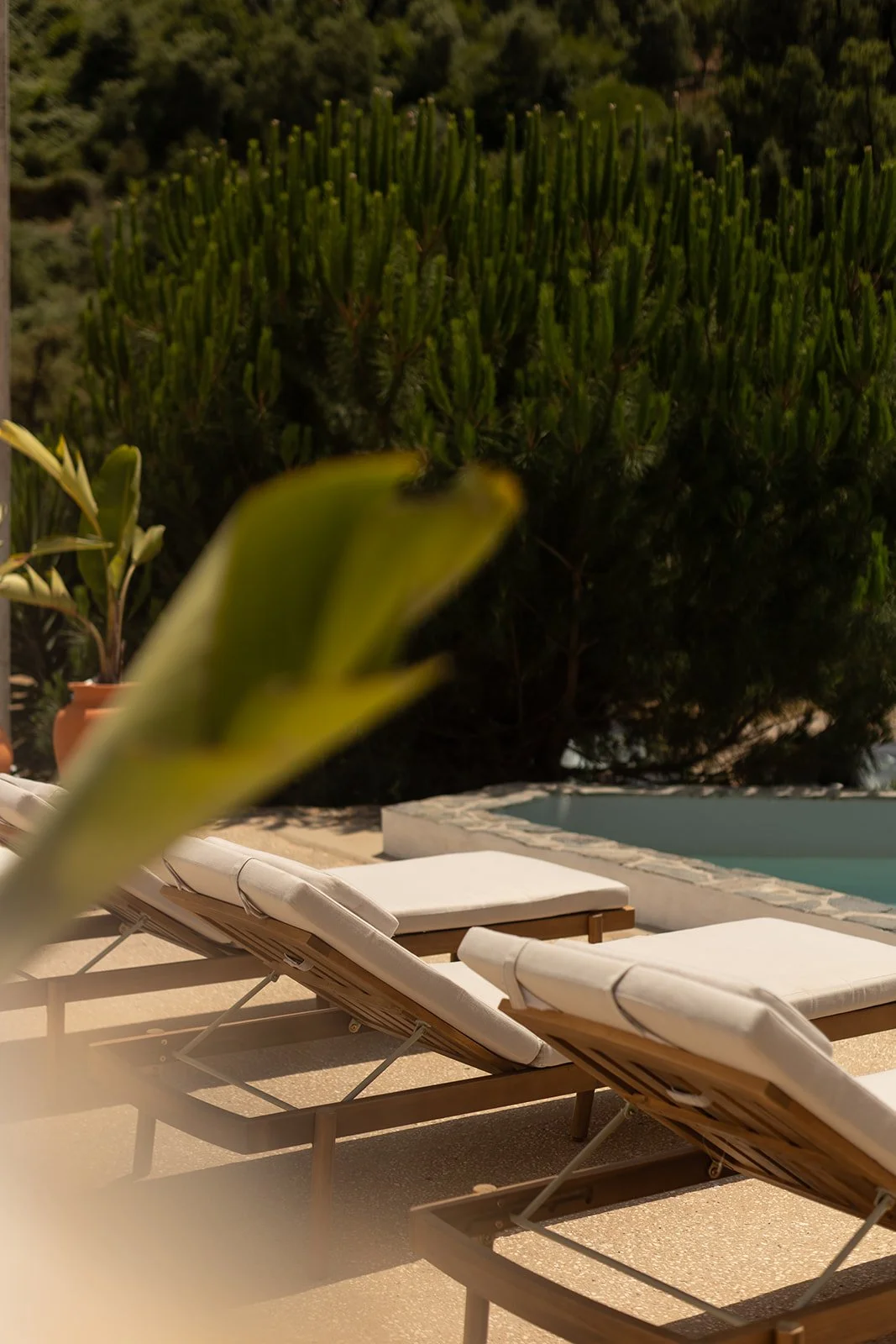 casa de cura - edit 2-12.jpg