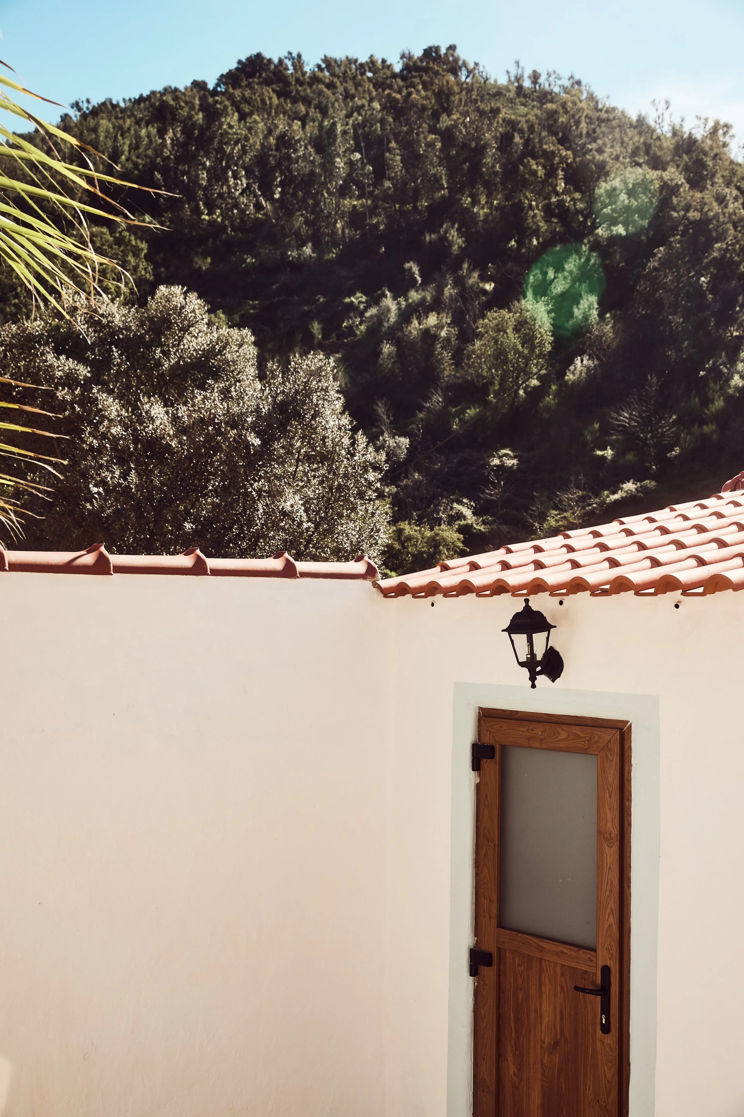 BH4A8987_v1_lowres copy.jpg