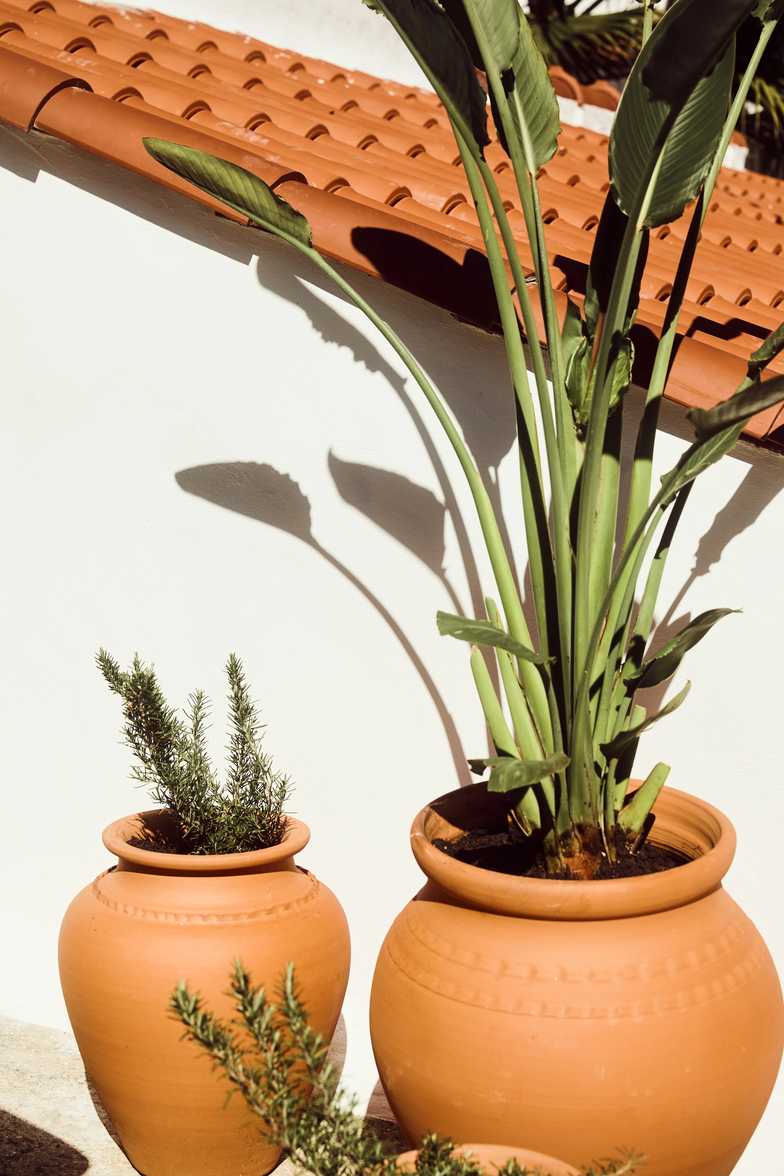 BH4A8959_v1_lowres copy.jpg