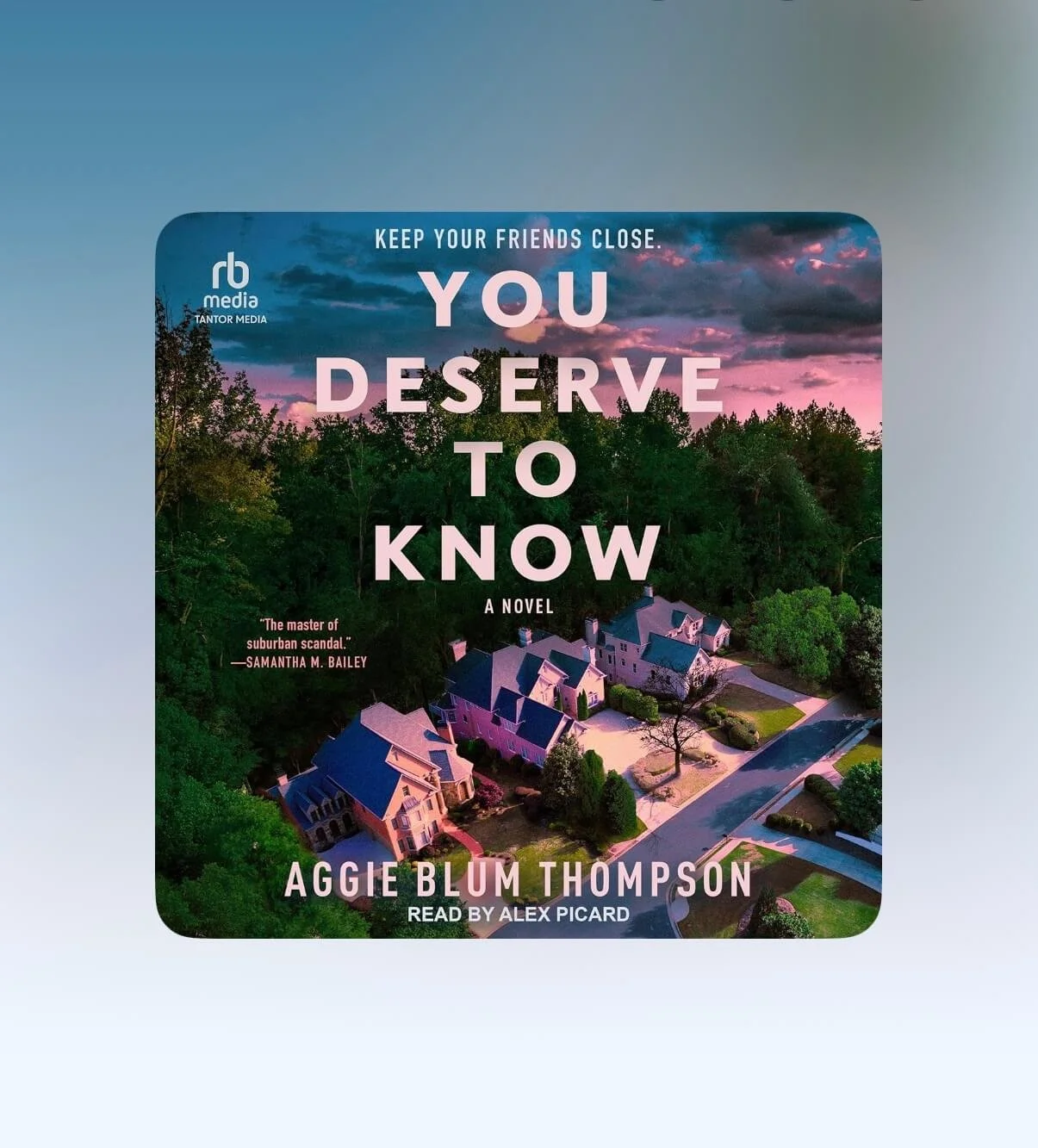 You Deserve To Know, Aggie Blum Thompson, A Glimpseof Good travel book