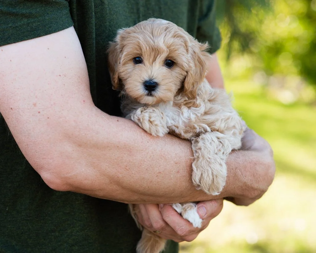 DSC_2719.jpg
