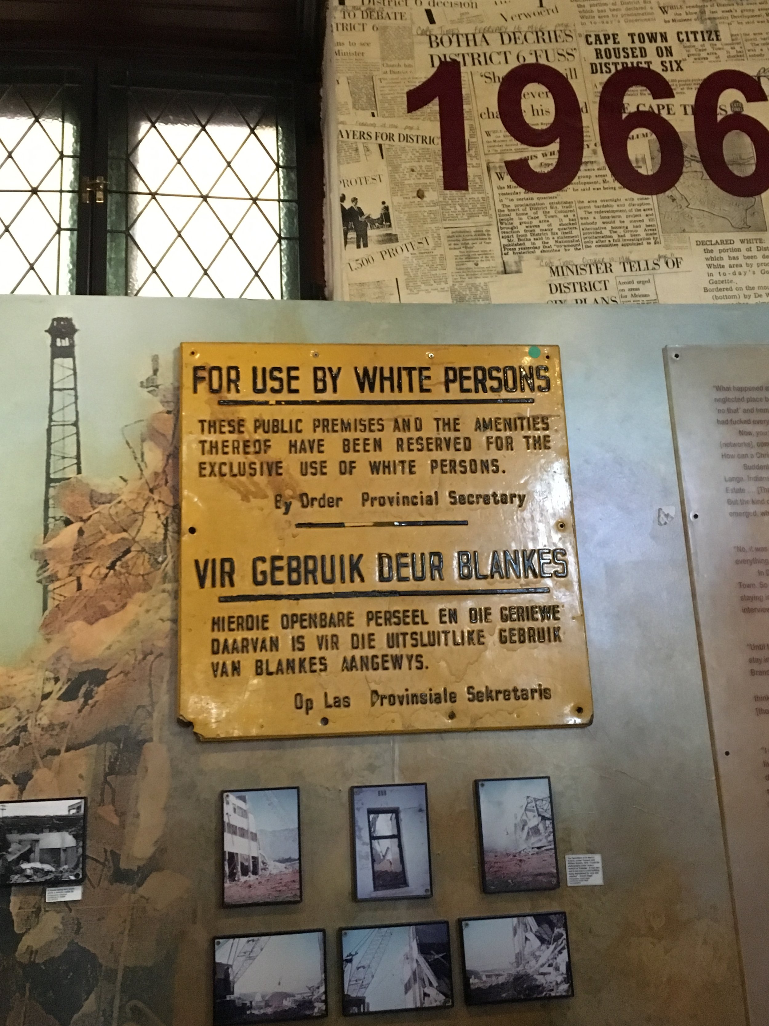 IMG_7437.jpeg