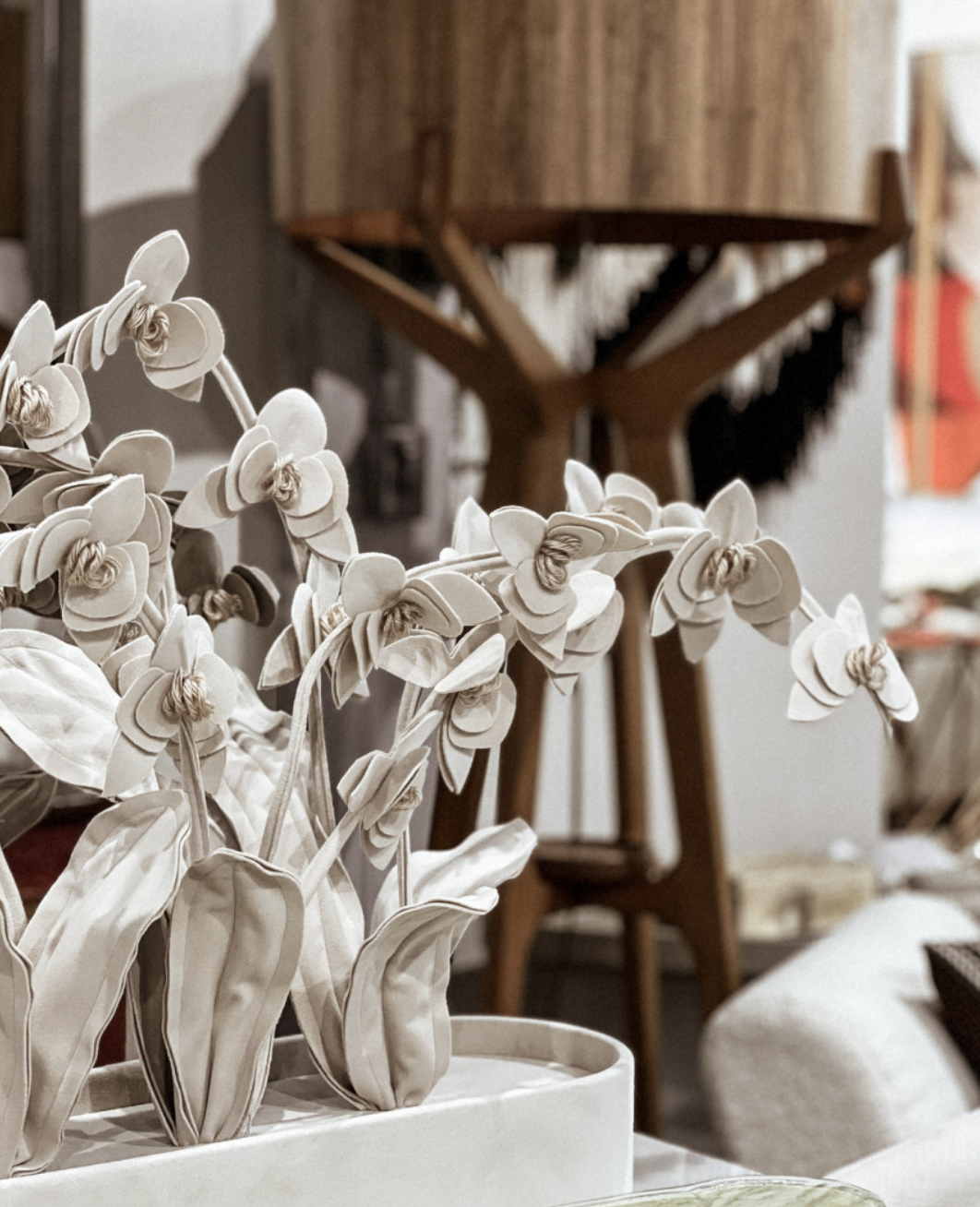 Screenshot 2024-05-15 at 2.25.51 PM.png