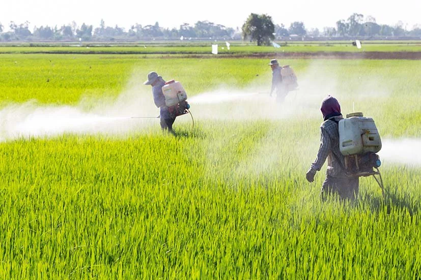Internationalization Standards of Agrochemicals: Benefit or Problem? Challenges of an international legislation