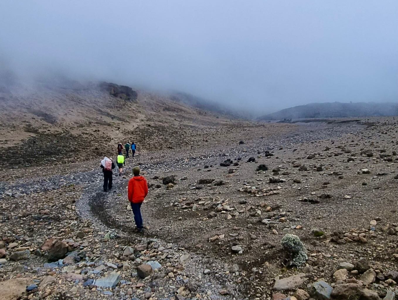 Taken on the way to Moir Hut Camp at 4170m. What a stark difference a few days of hiking make&hellip; From the rainforest to this! #TheLastRideProject

#climatechange #mountaineering #summit #expedition #mountkilimanjaro #altitude #documentaryfilm #s