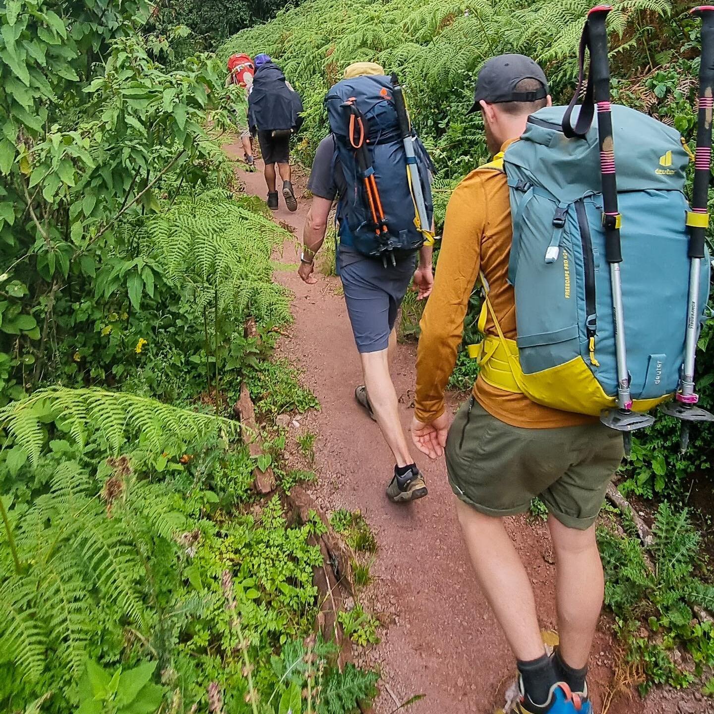 About 2 hours into our Kilimanjaro expedition. Hiking through the lush jungle at 2600m and saw lots of monkeys 🐒. It is as high as, or higher, than most European ski resort - and it looks like this!
#TheLastRideProject

@deuter @kilimanjaro.dreamers