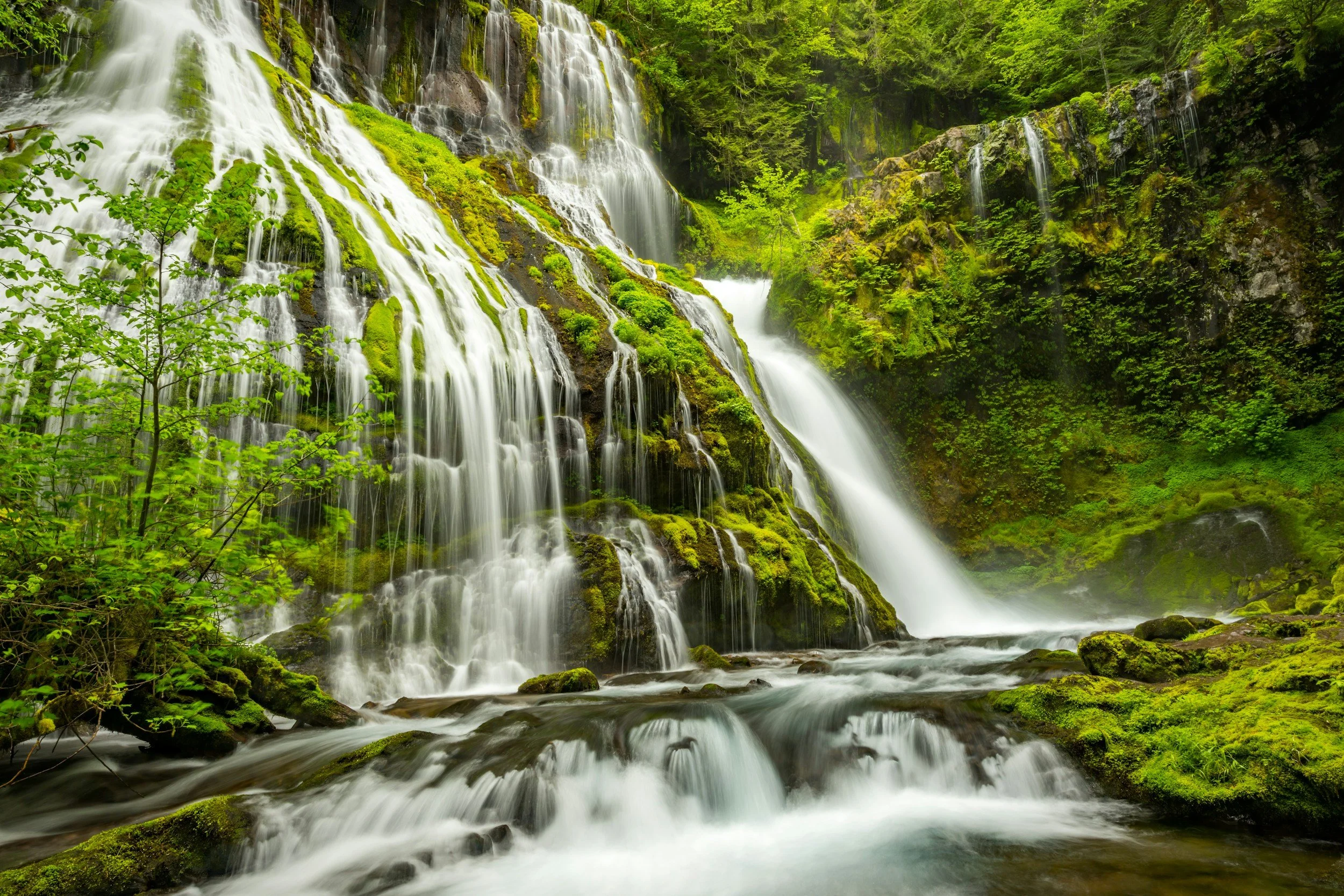 unsplash-image-i-5L8PW33TY.jpg