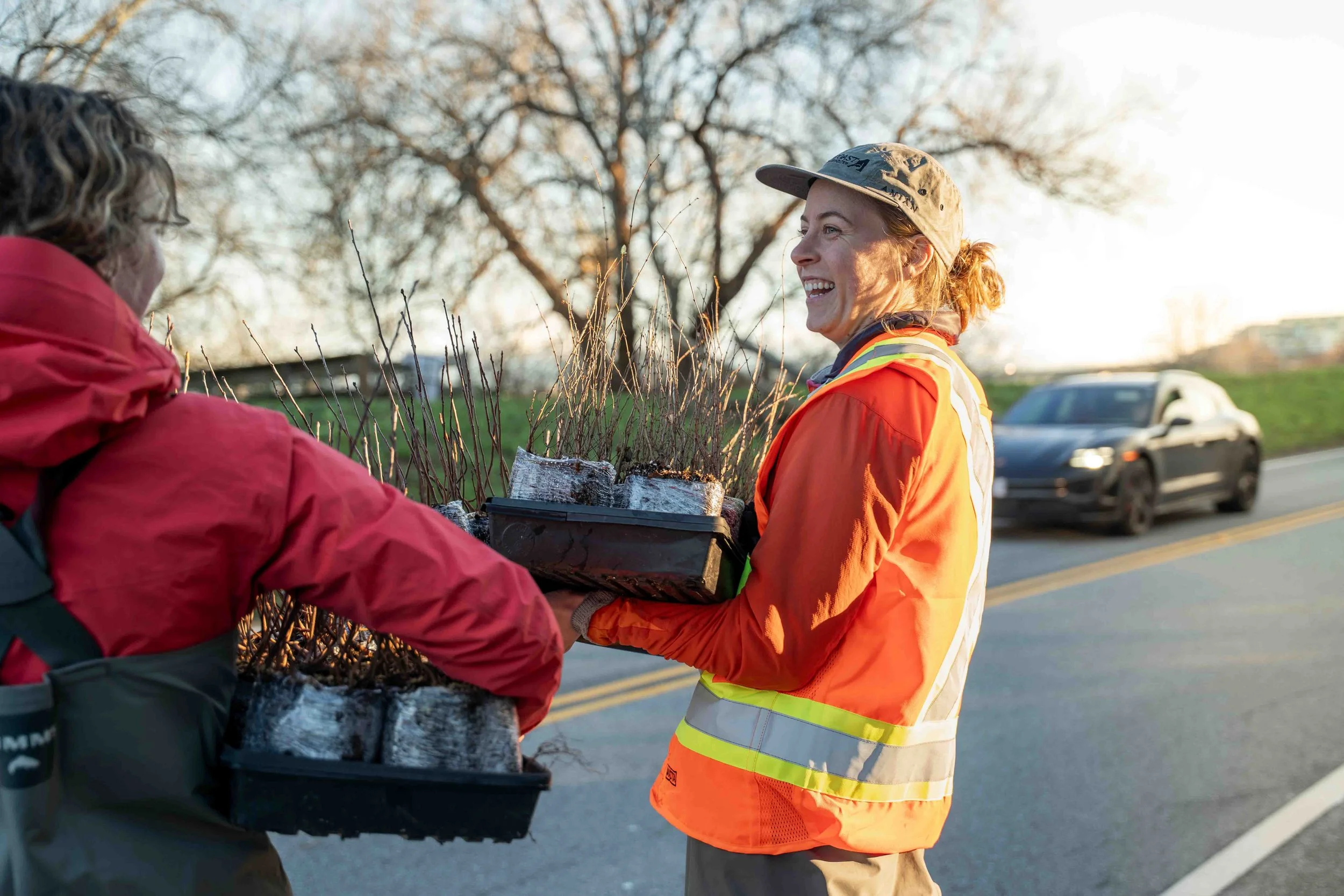 planting-Nicole Van Zutphen-17.jpg