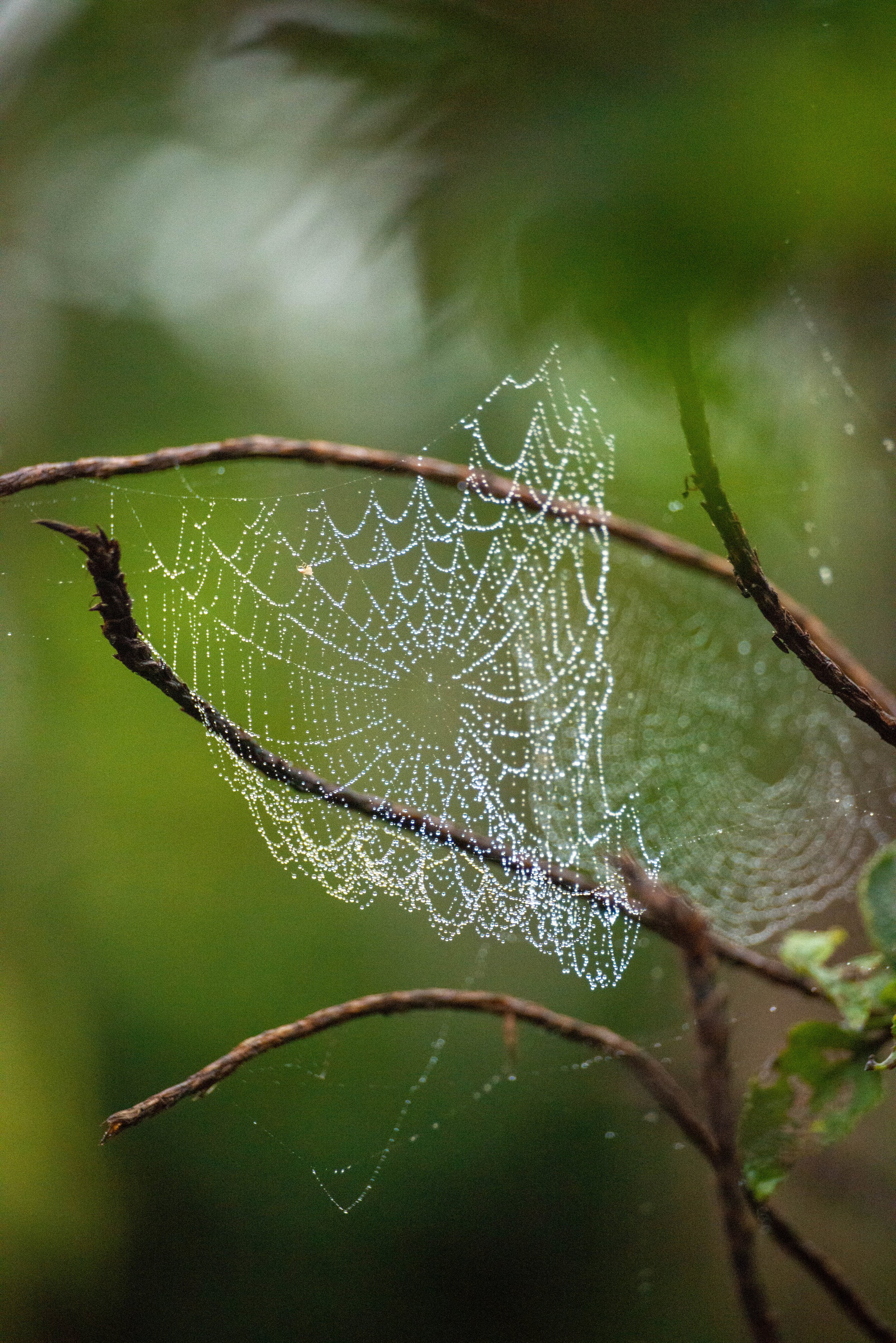 waterweb1-20210911-Nicole-VanZutphen.jpg