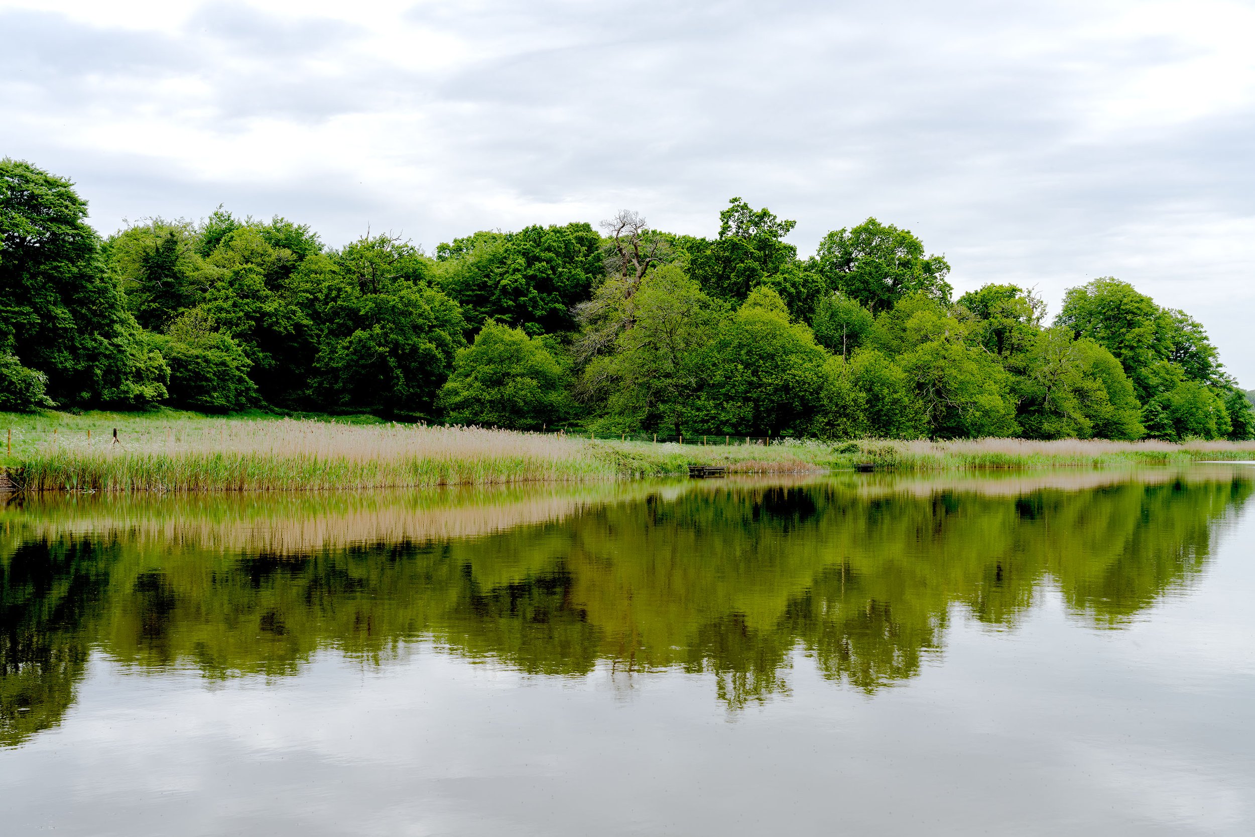 web reflections 1.jpg