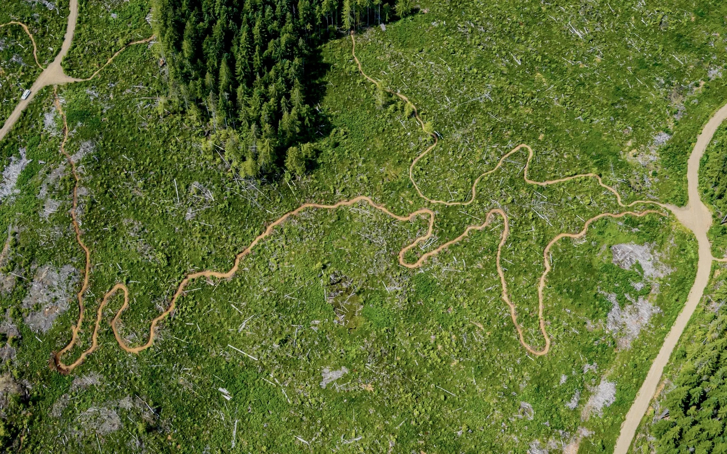 An aerial view of a green forested area with winding dirt paths and some scattered trees and rocks.