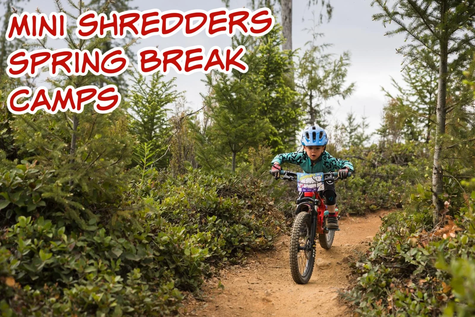 Ages 4-6: Mini Shredders Spring Break