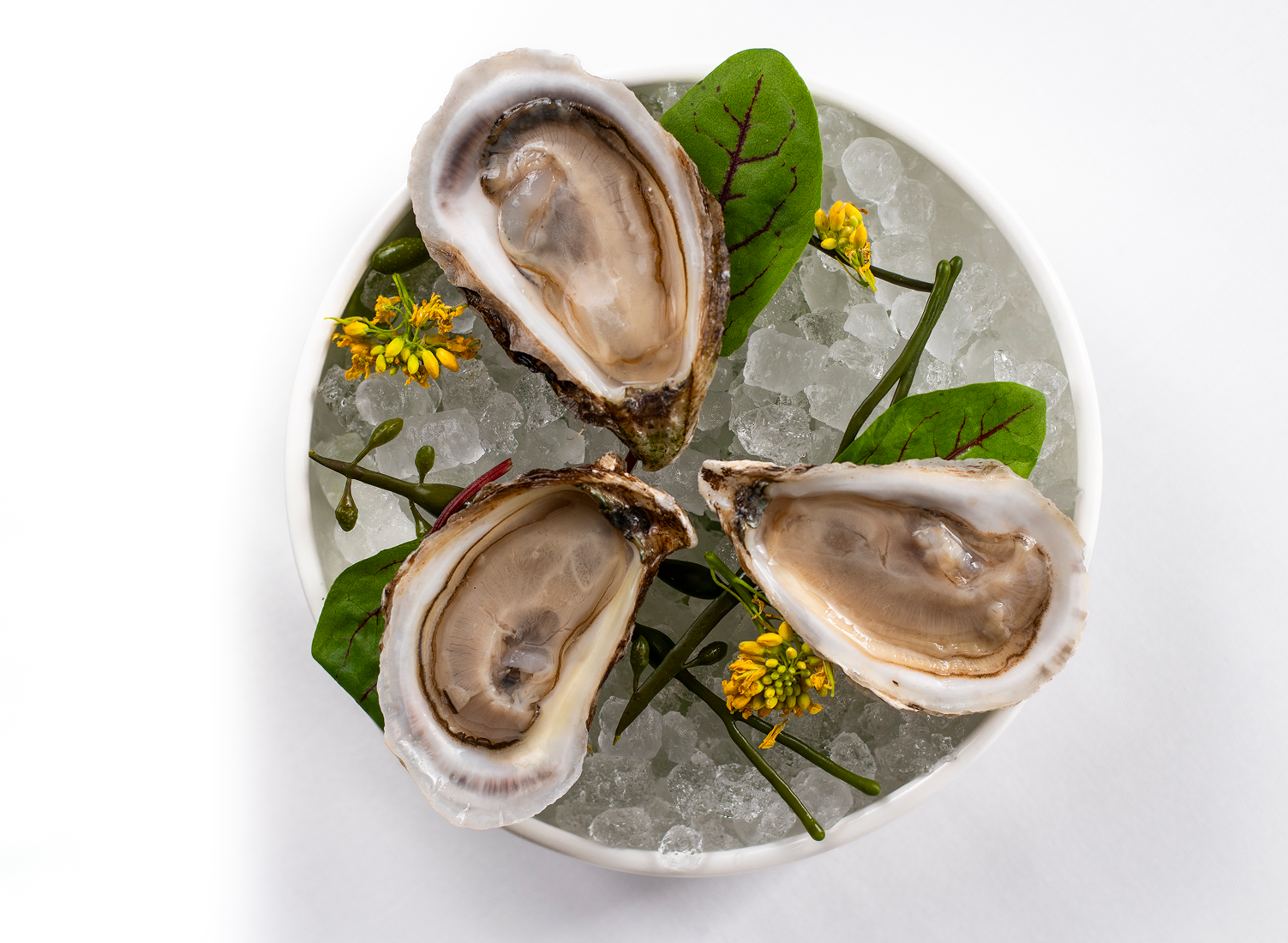 photos_Absinthe-food-oysters.png