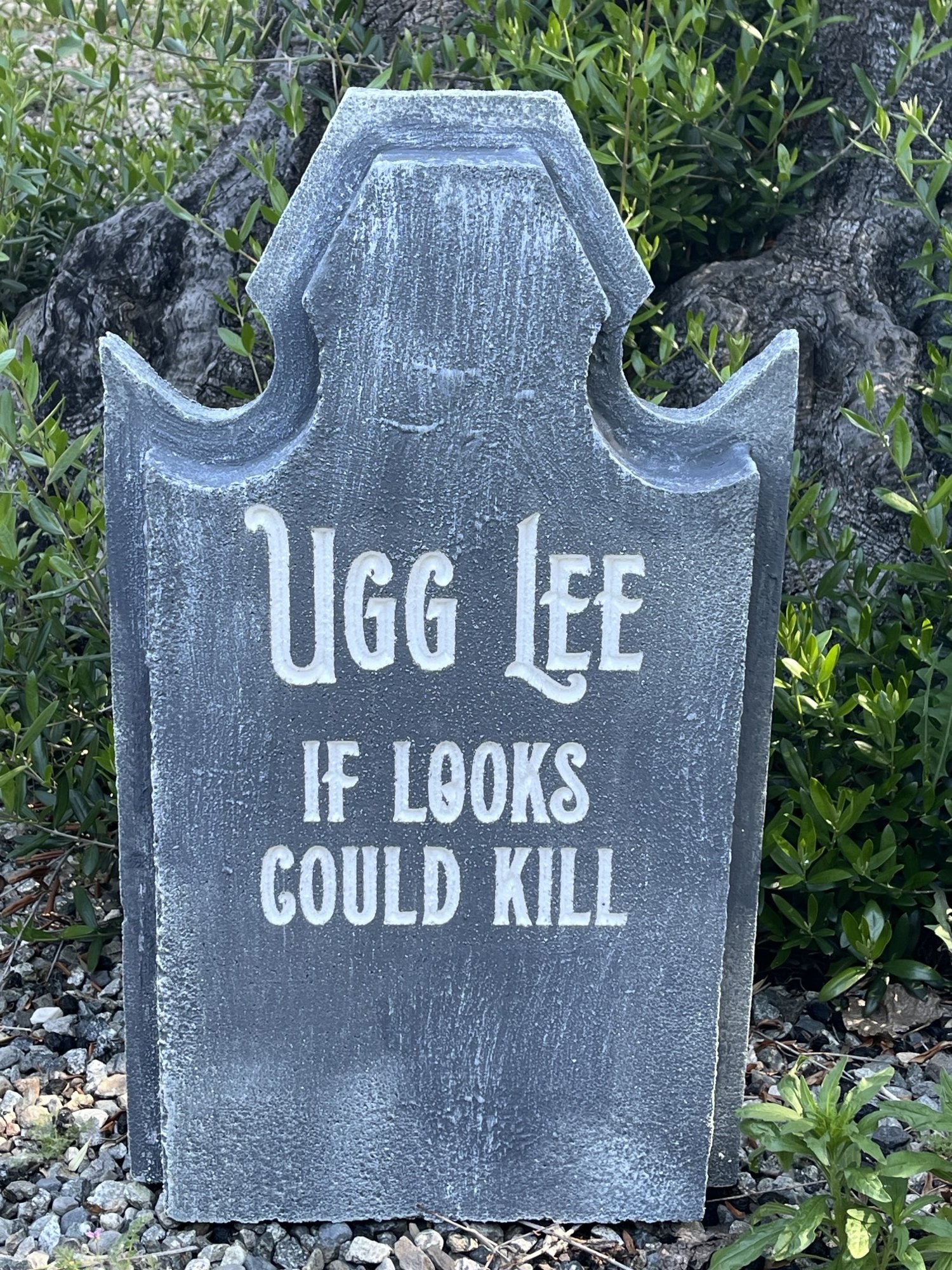 Ugg Lee.jpeg