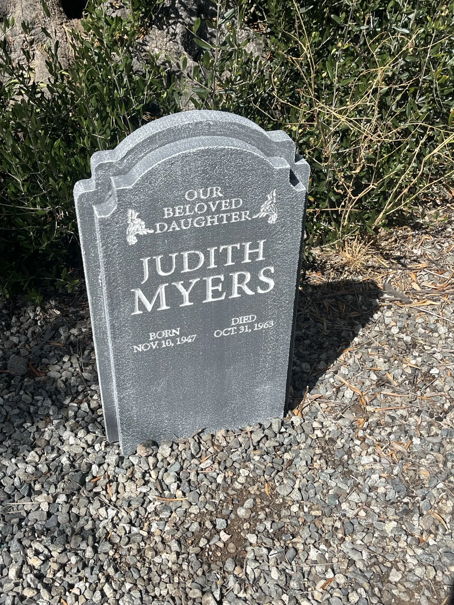 Judith Myers 63.jpeg