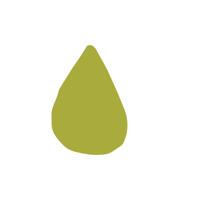 A cilantro leaf with a black background
