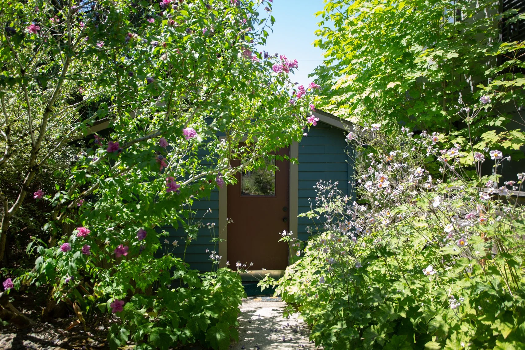 DL_Portland Healing Space18.jpg