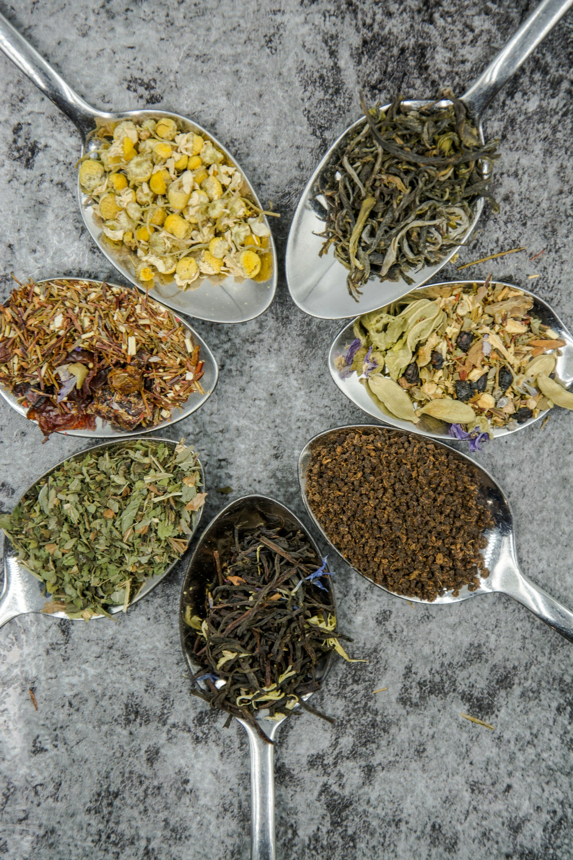 Seven metal spoons arranged in a circle, each filled with different dried herbs and flowers on a gray textured surface.