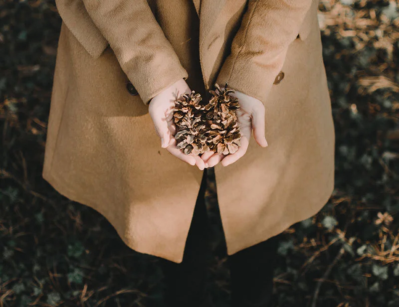 FALL IS MY FAVOURITE