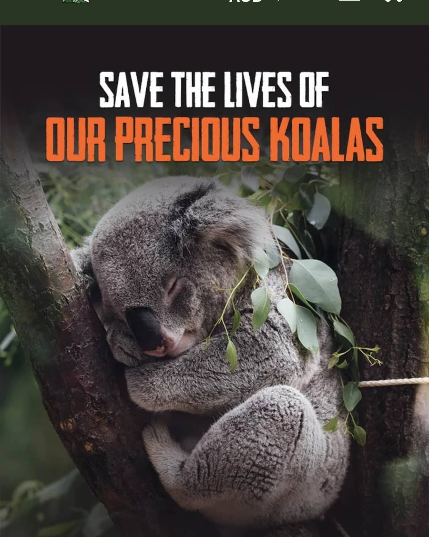Thank you all for participating and being a part of such a good cause. I have triple matched the added total of waxing service proceeds (💯) to the #koalahospital in Australia and added a little more ❤️ because I needed the # to be an odd # . Don't a