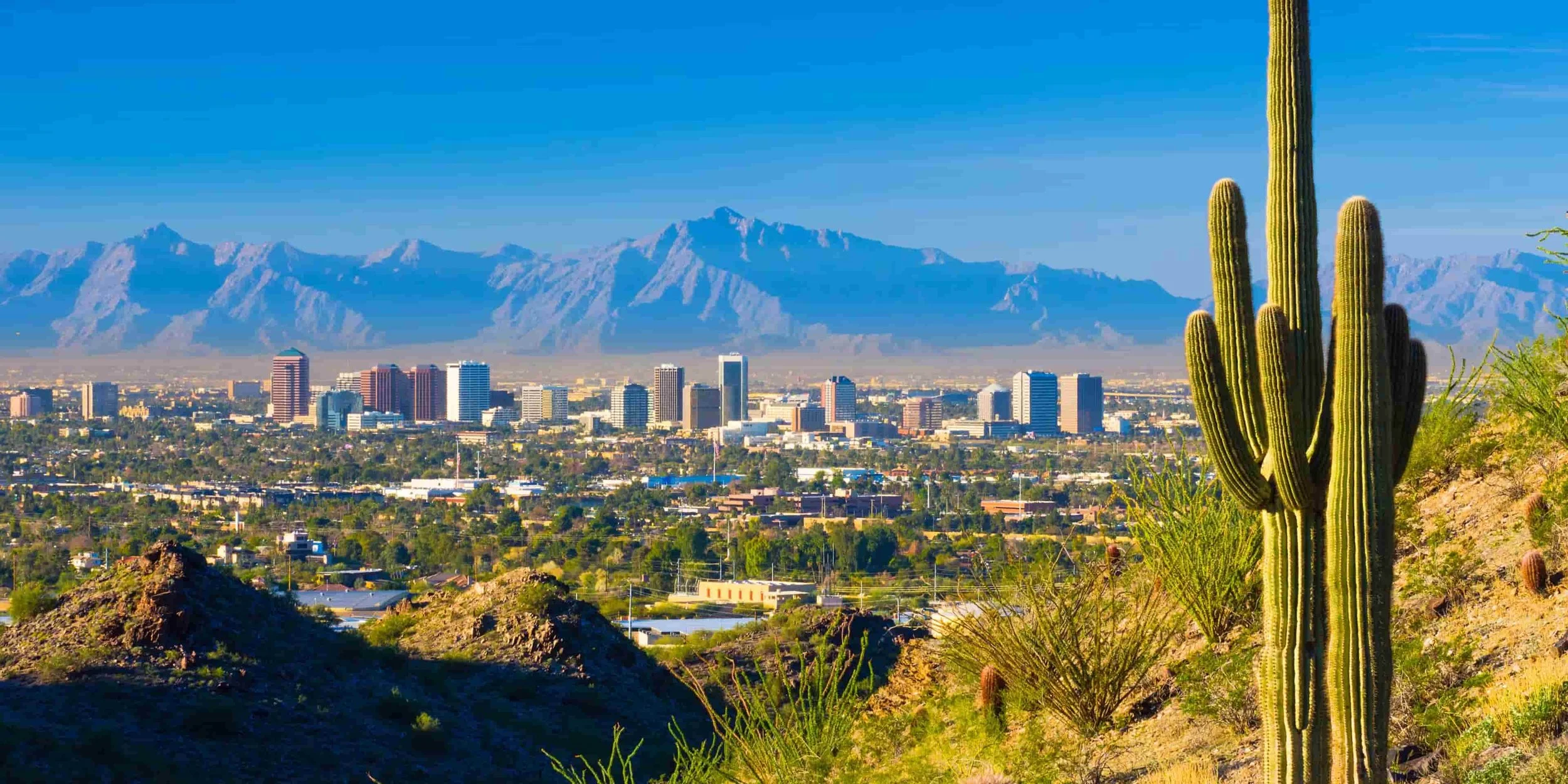 Phoenix skyline with desert cactus in the foreground and mountains in the background.