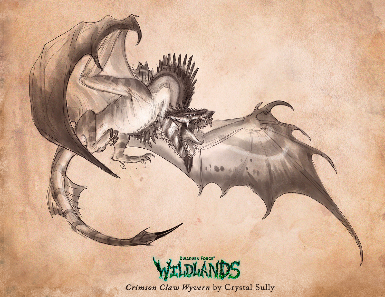 Wyvern LABELED.png