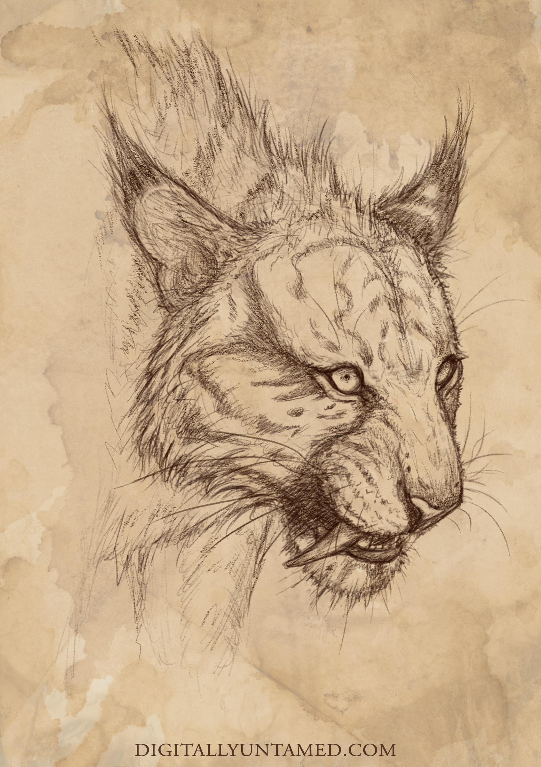 ManedTiger.png