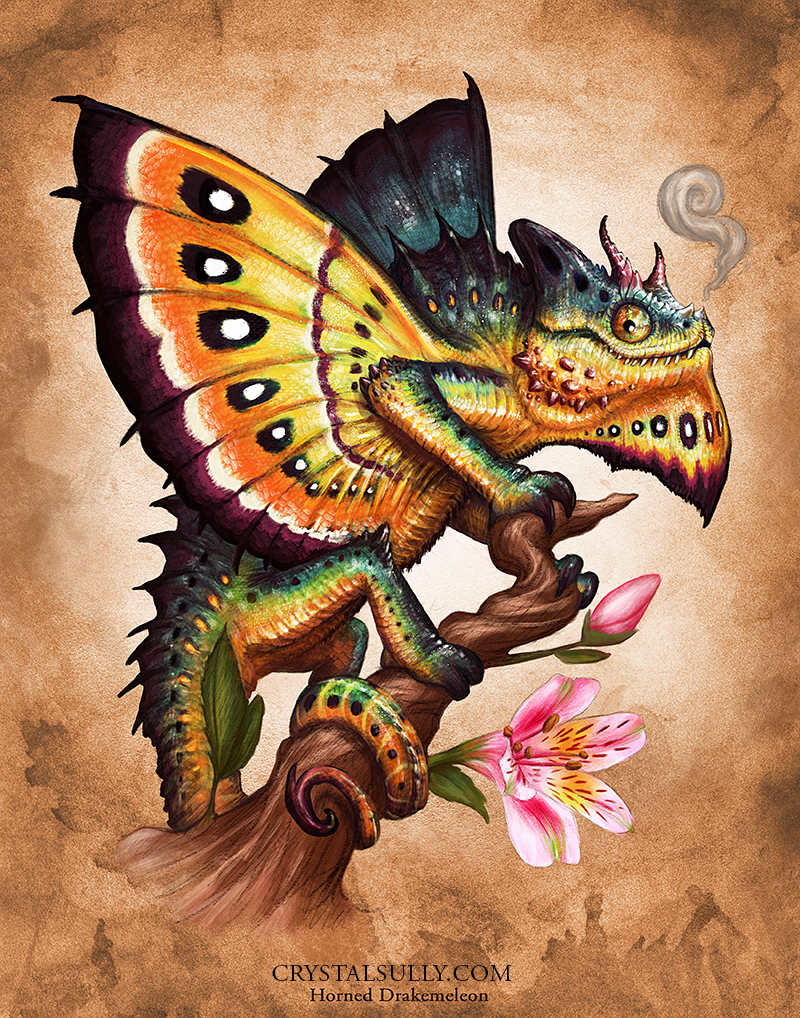 HornedDrakemeleonwithsite.png