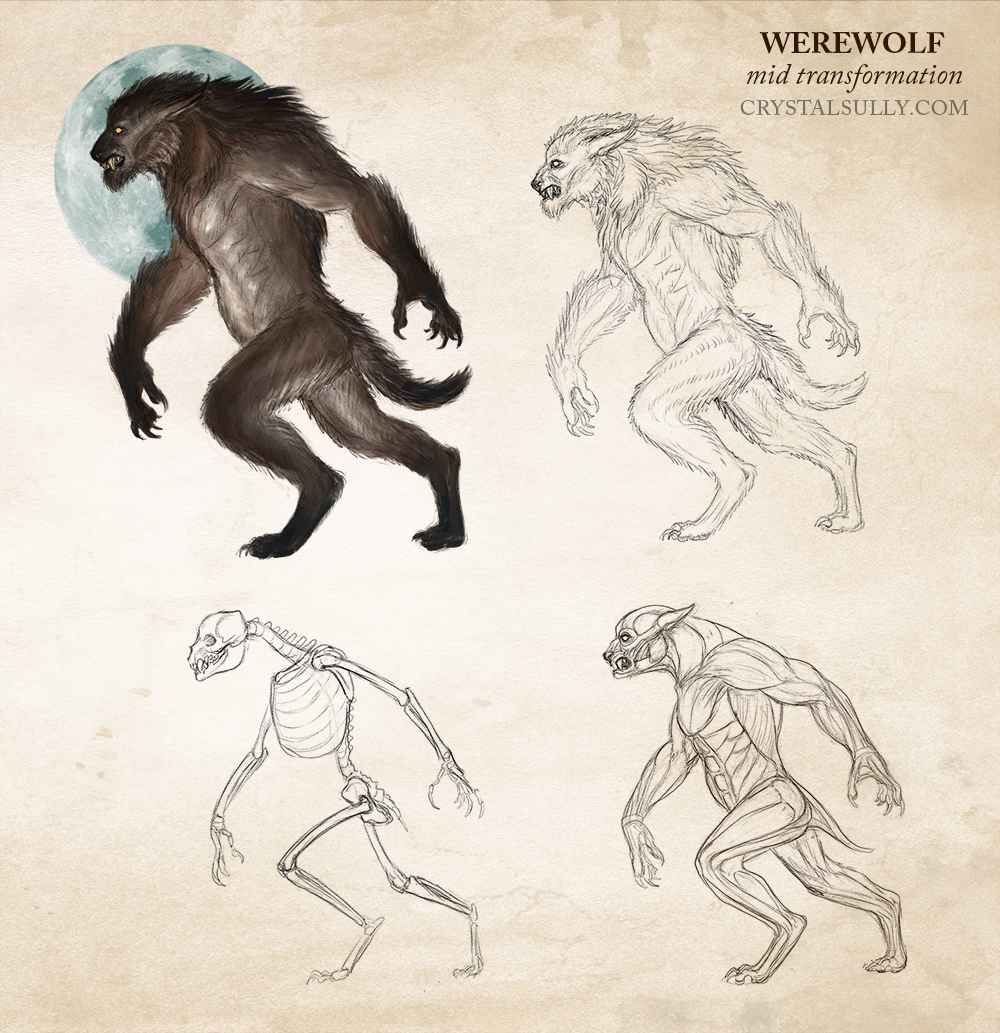 Werewolf Midtransformation preview.png