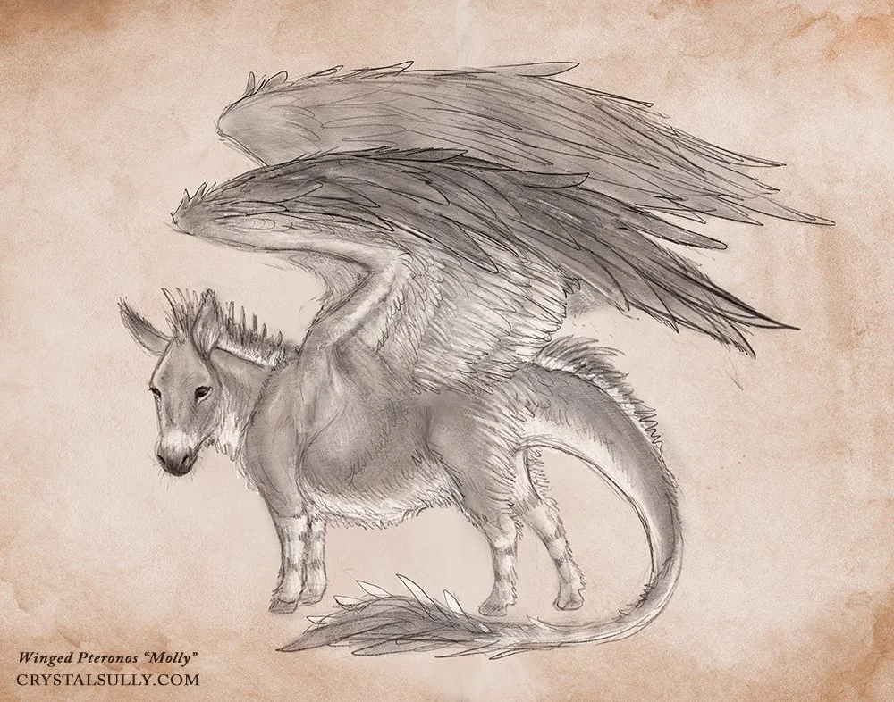 Molly Final LABELED.jpg