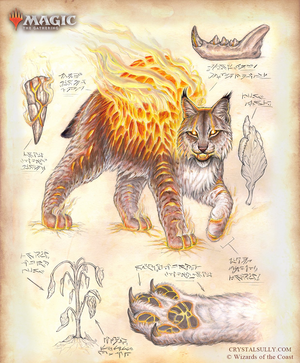 Sunspine Lynx Labeled 1800px.jpg