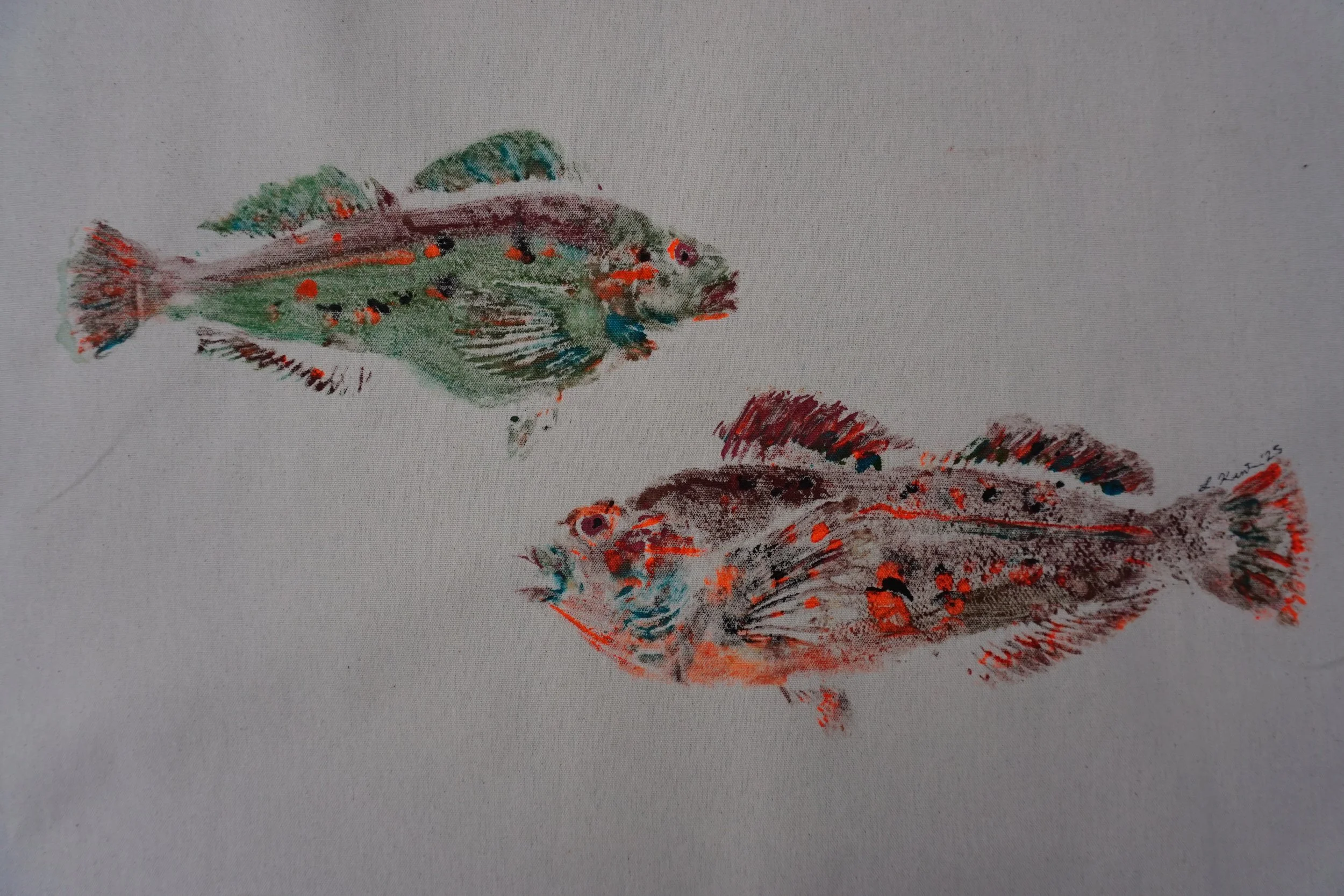 Male and Female Rock Greenling Print