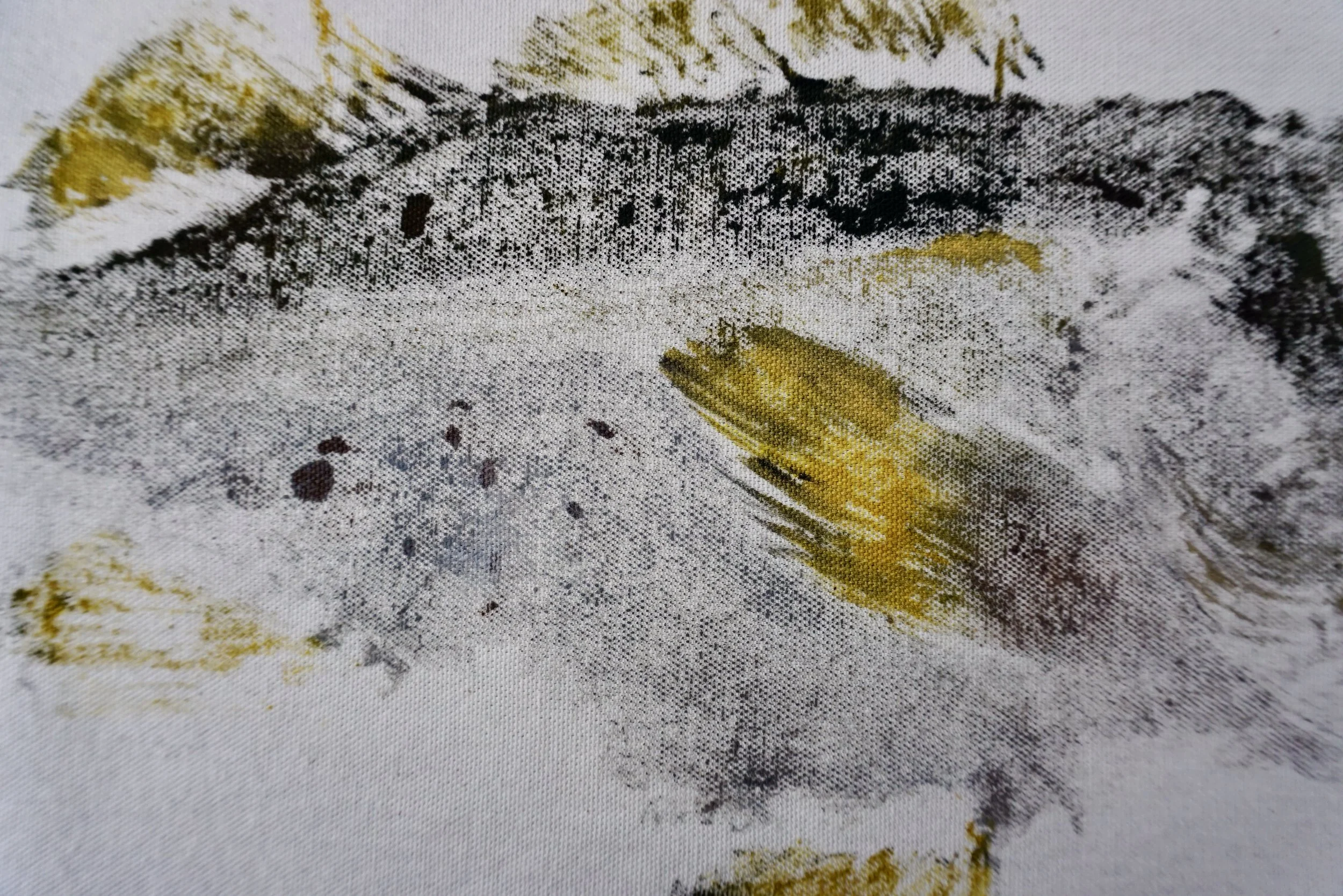 DSC00450 2Winnie's Fish Pants Fish Prints Homer, AK .JPG