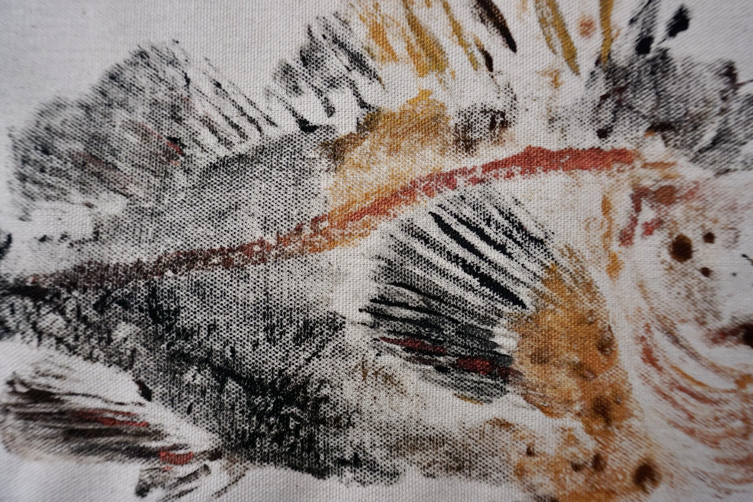 DSC00490 2Winnie's Fish Pants Fish Prints Homer, AK .JPG