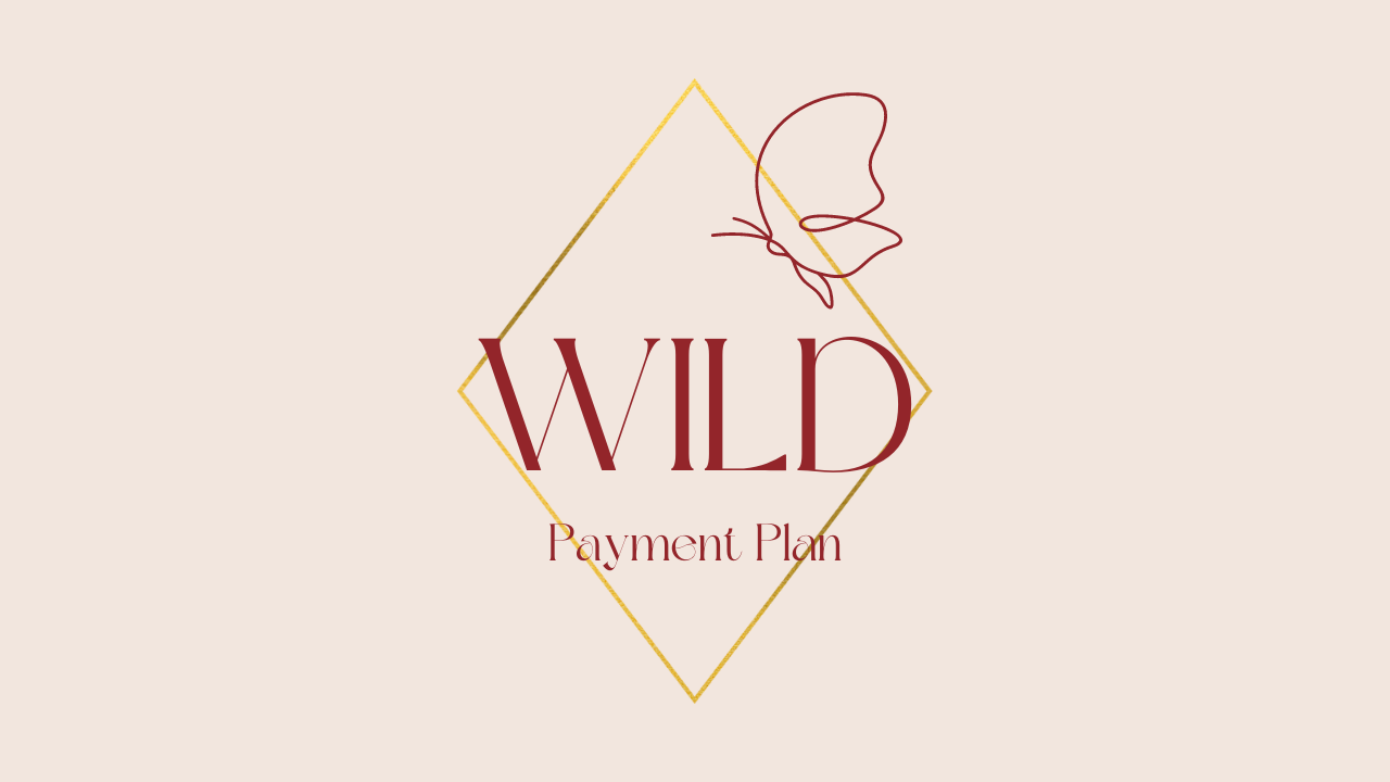Payment Plan (3 x $165)