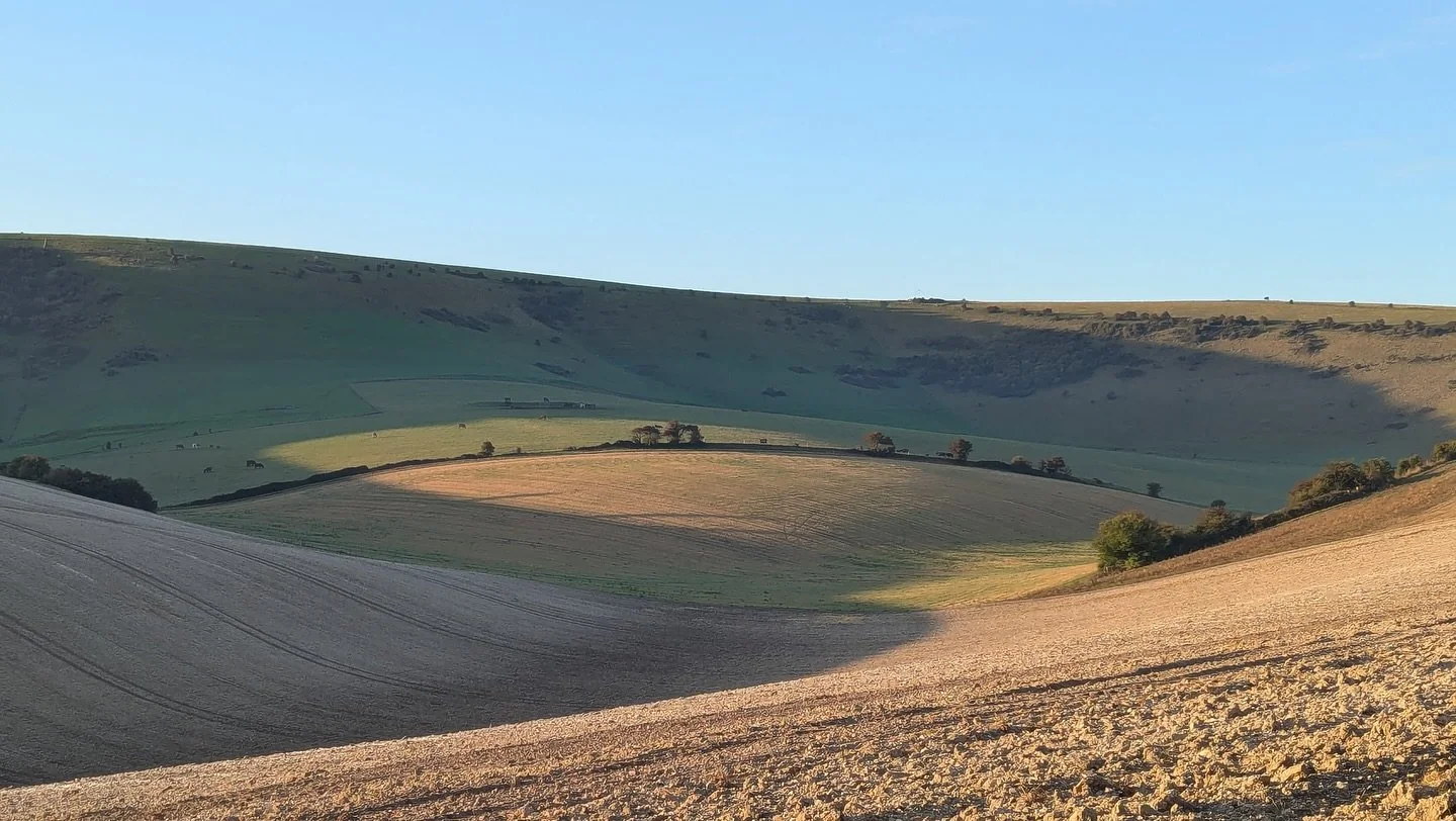 October arrives with gentler light and quieter tones. Mornings cool, afternoons gilded, trees releasing what is no longer needed. Leaves fall not in loss, but in grace &ndash; teaching us that letting go is also a form of renewal.

This is the season