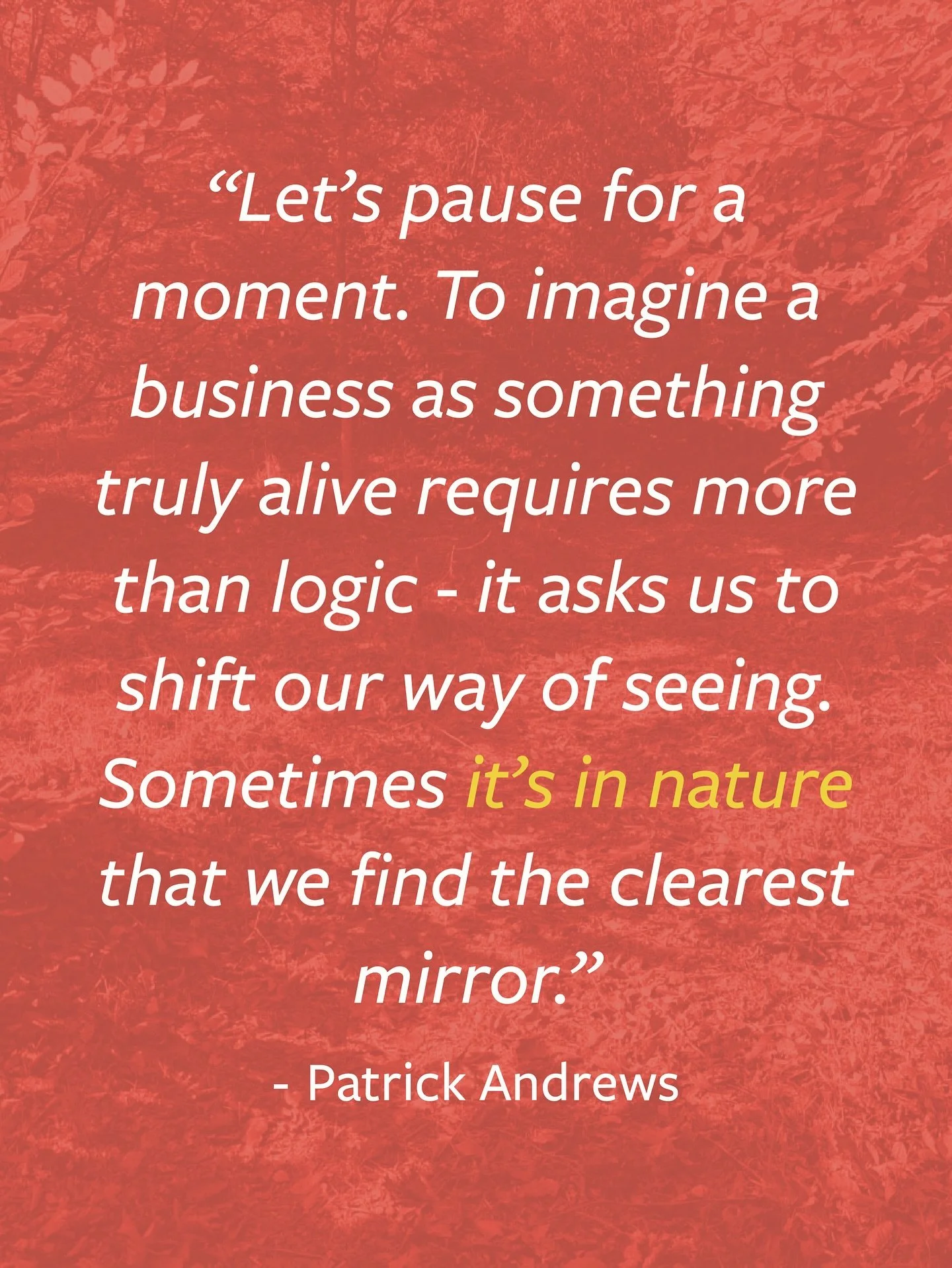 &ldquo;Let&rsquo;s pause for a moment. To imagine a business as something truly alive requires more than logic - it asks us to shift our way of seeing. Sometimes it&rsquo;s in nature that we find the clearest mirror.&rdquo; - Patrick Andrews, &lsquo;