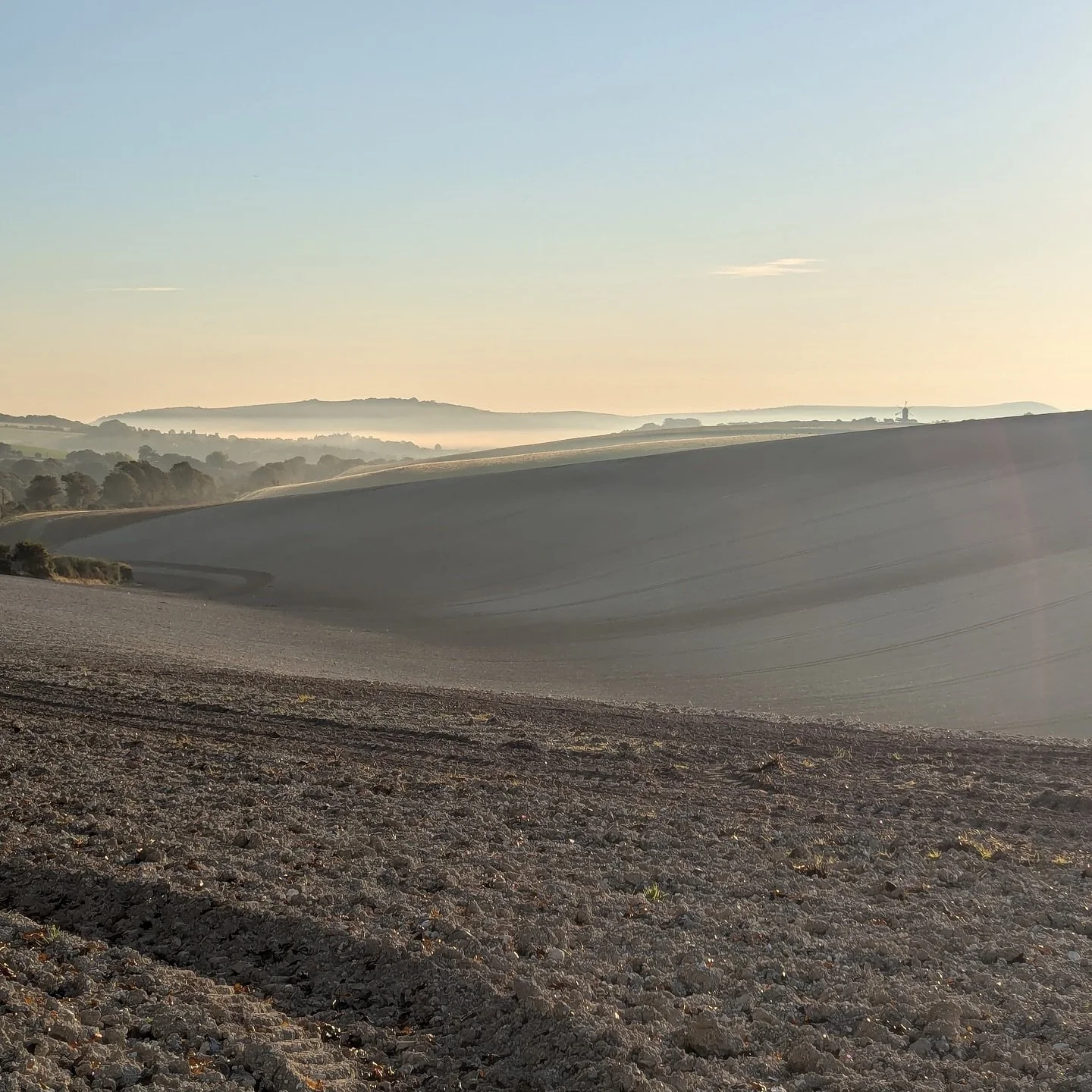 The light tilts. The trees turn. The mornings mist over.

October invites a slowing - not of retreat, but of re-rooting.

In my new blog, Leading in the Quiet Season, I reflect on what it means to lead in this softer light - to let go of outward stri